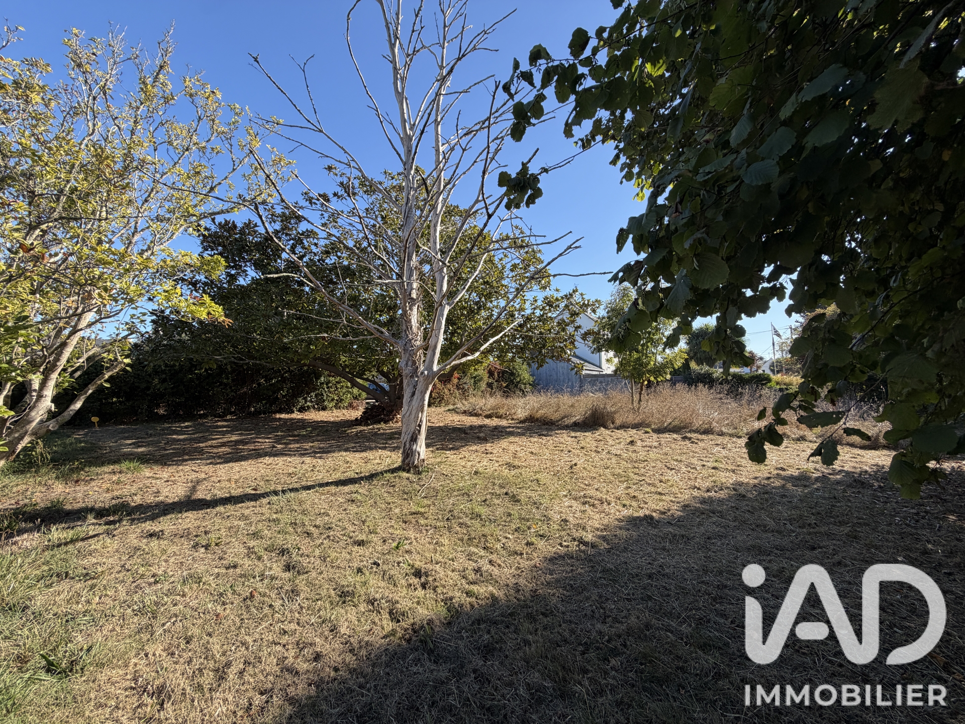 Terrain à vendre à Clohars-Carnoët — 215 000 € — IAD France