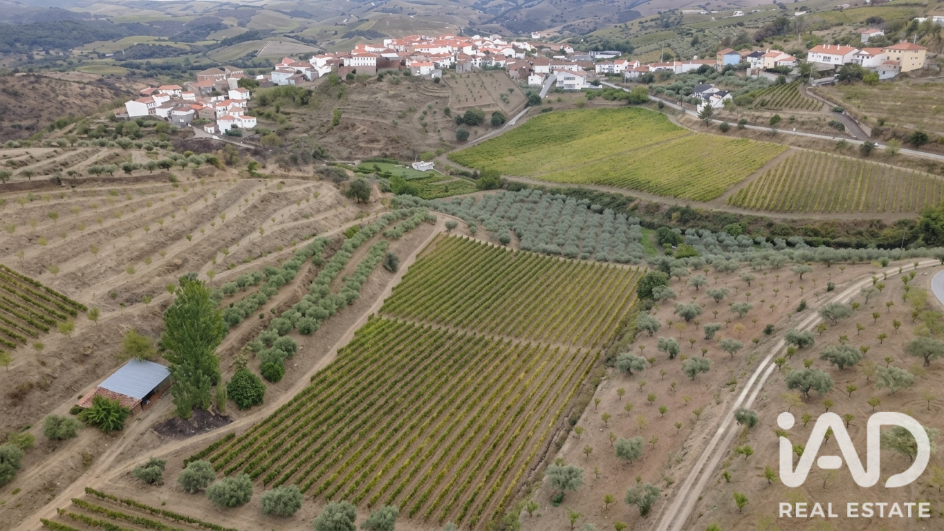 Quinta agrícola  em Cedovim
