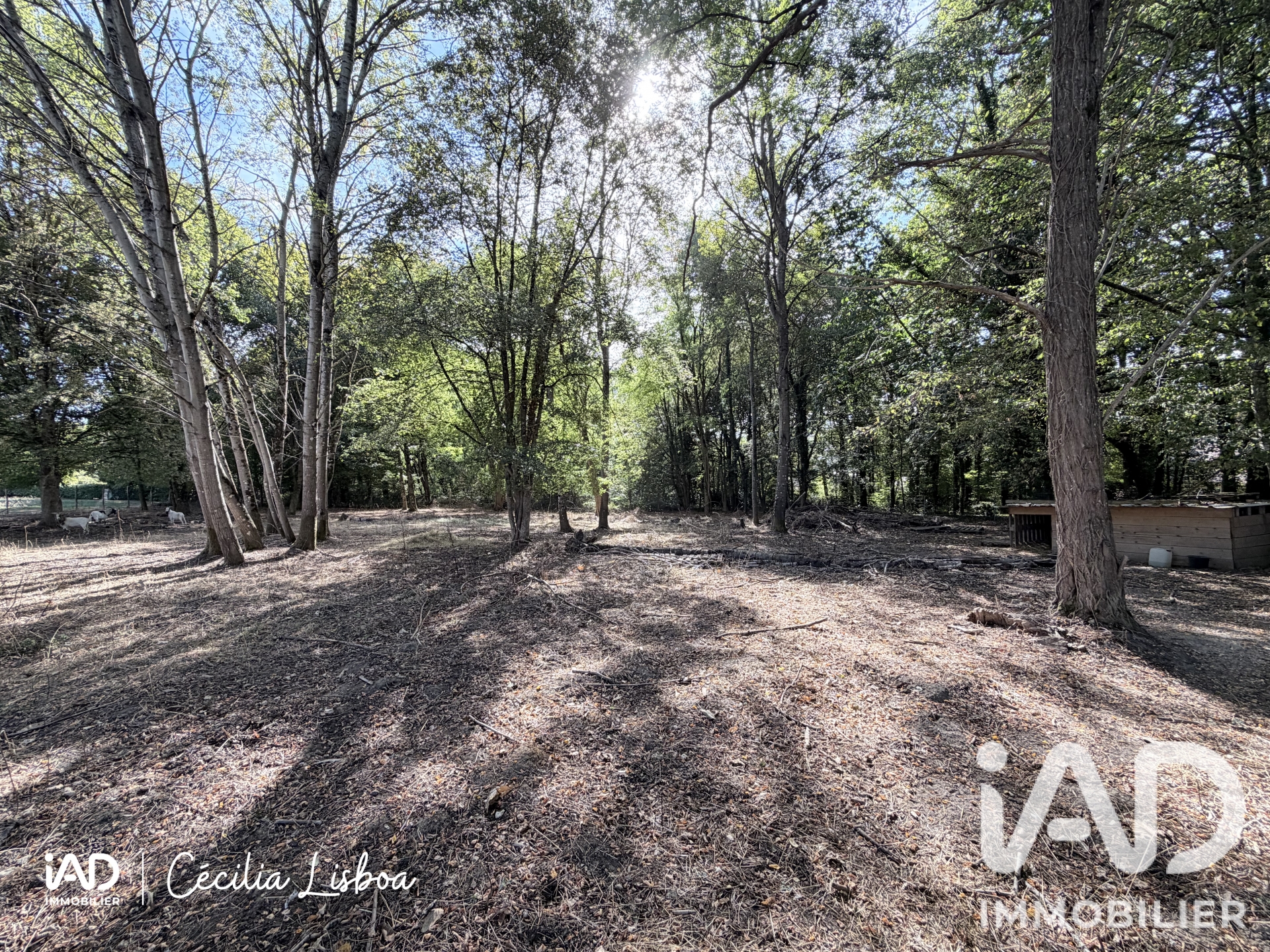 Vente Terrain 6 725 m²