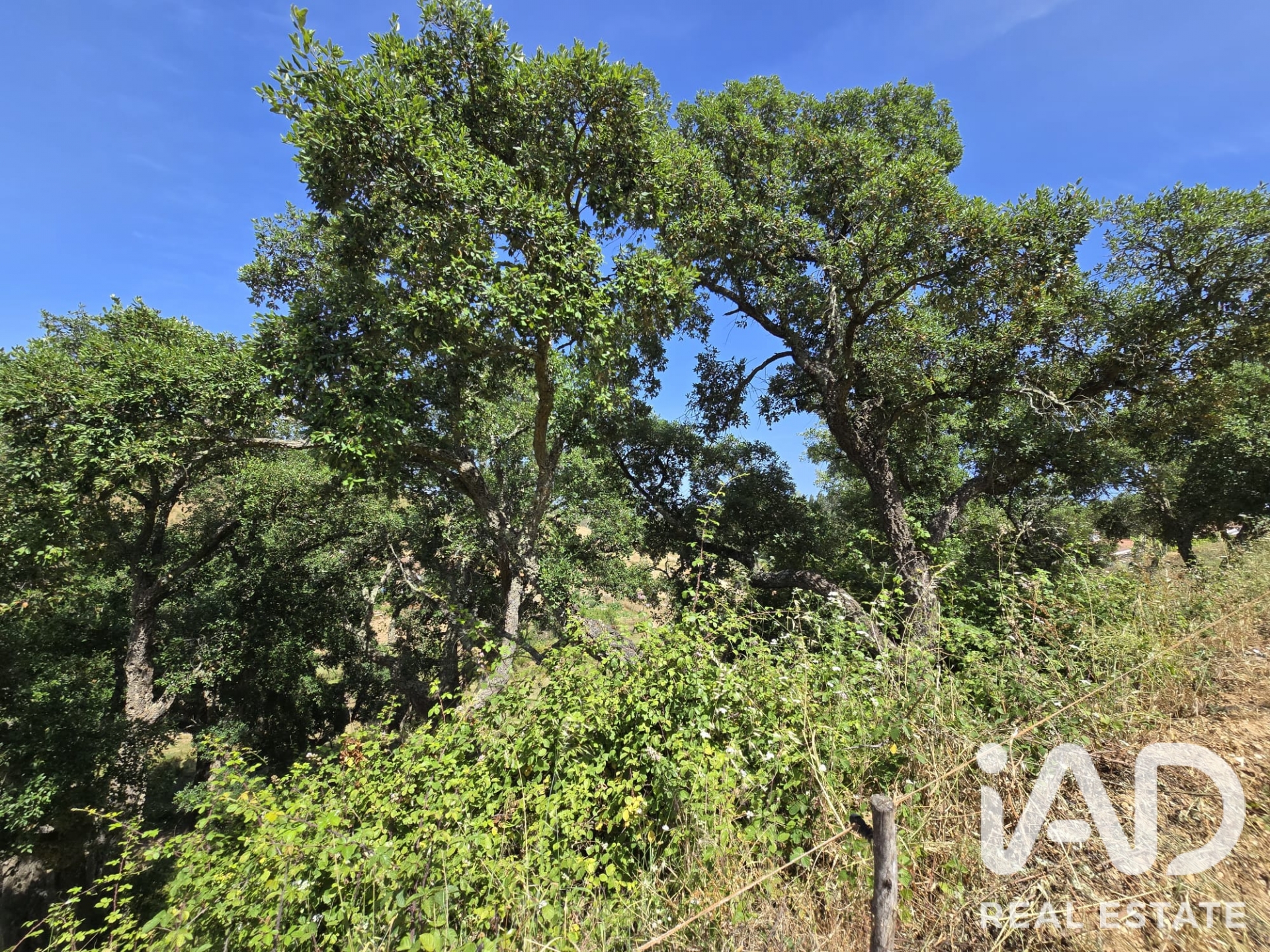 Moradia T2 à venda em Moitinhas, Odemira — foto 28