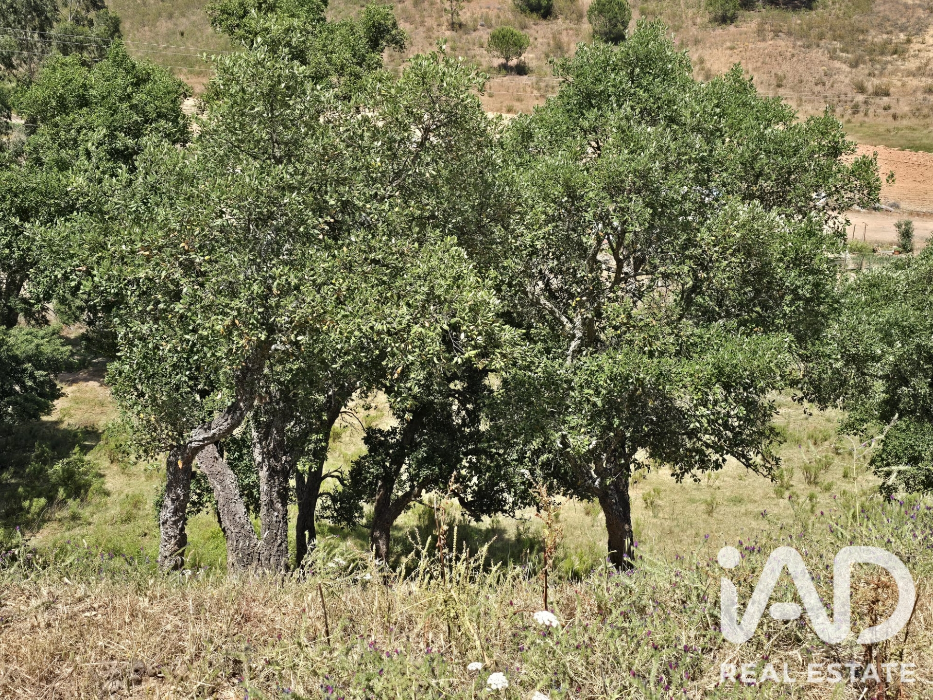 Moradia T2 à venda em Moitinhas, Odemira — foto 26