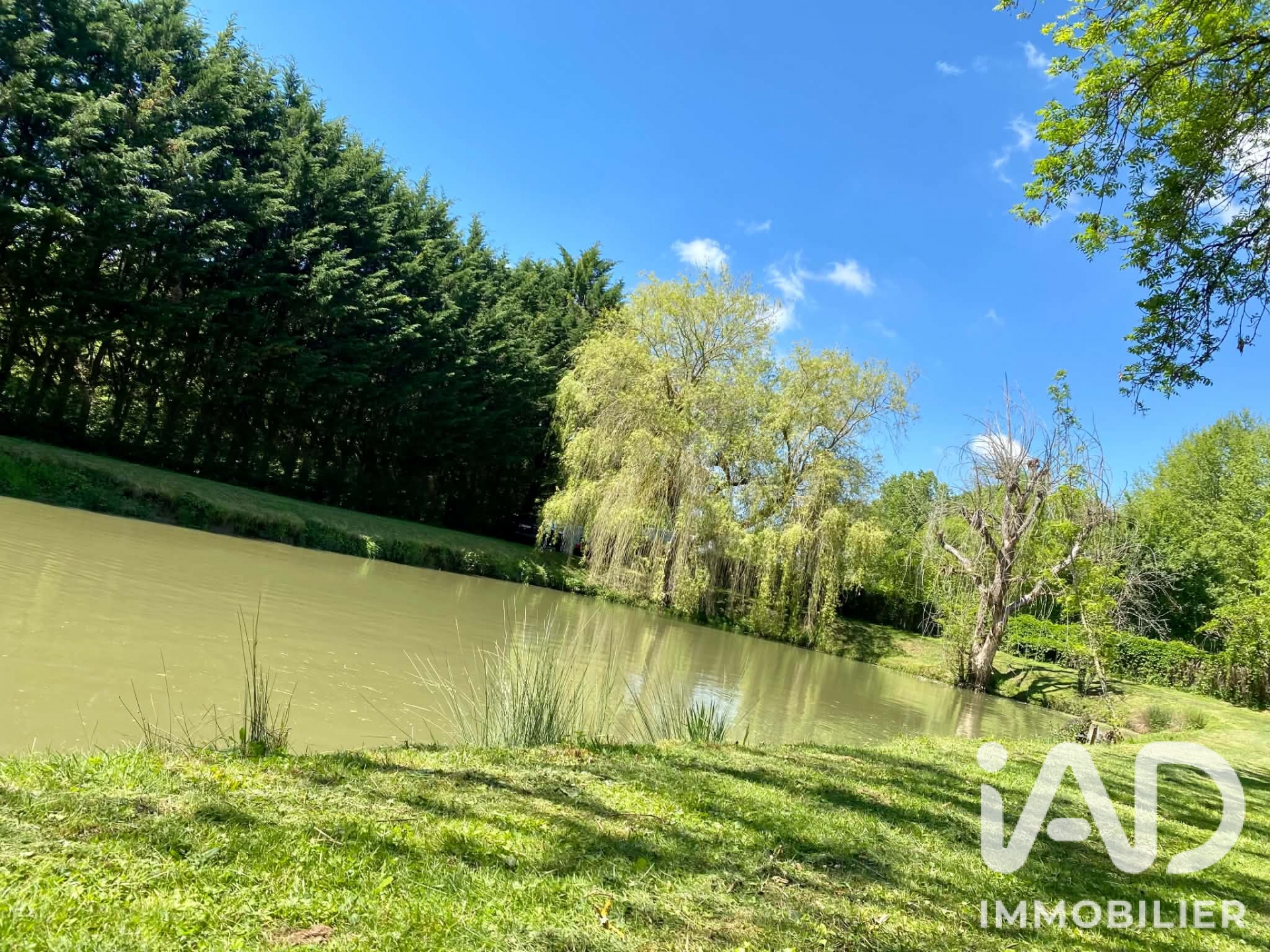 Vente Terrain 7 010 m²