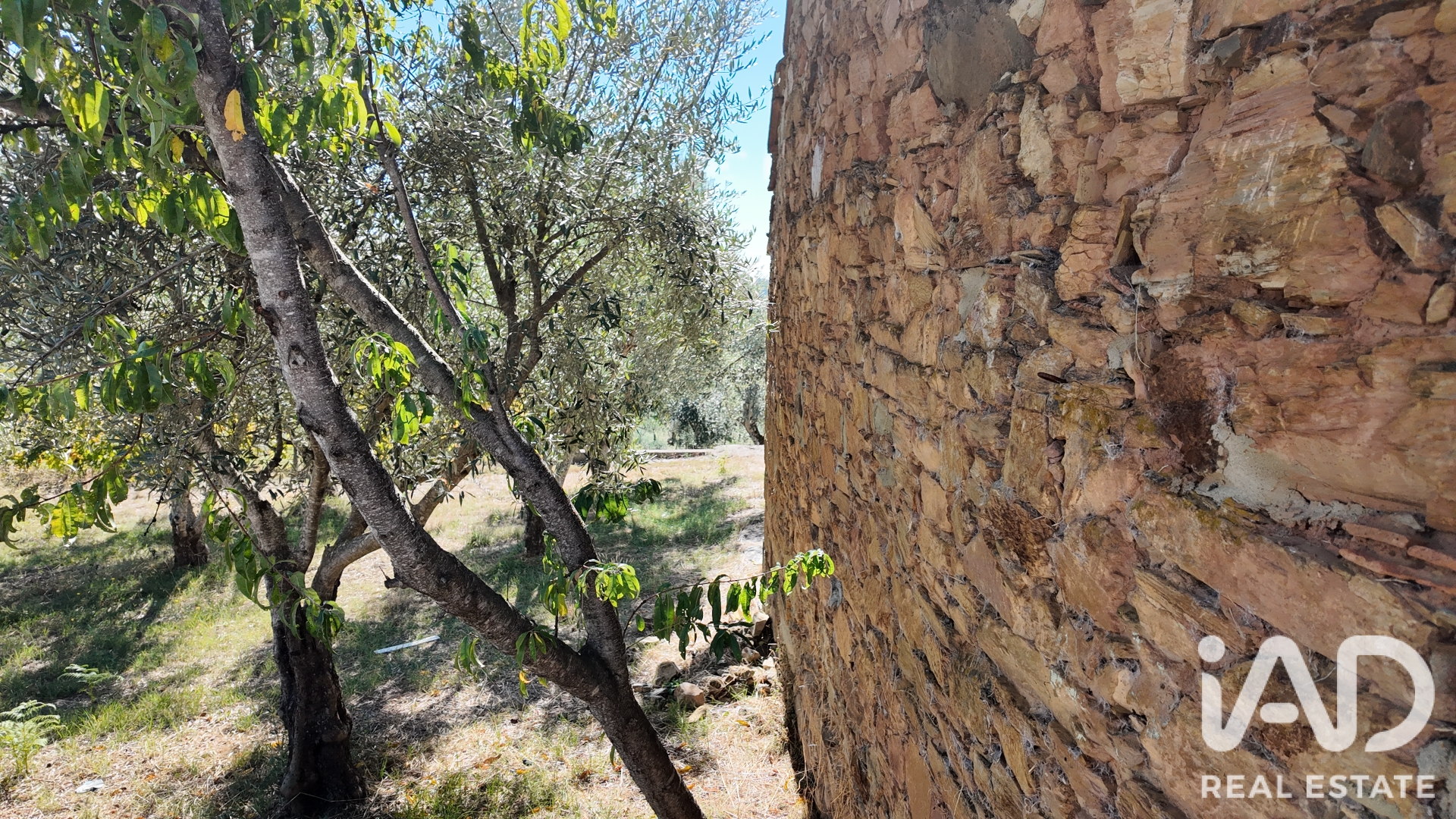 Terreno misto  em Graça