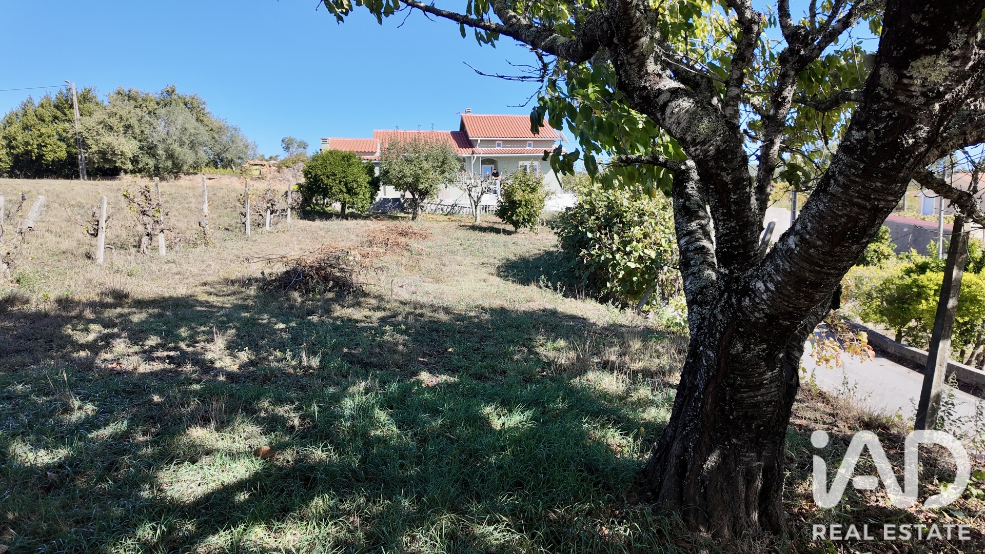 Moradia  em Figueiró Dos Vinhos