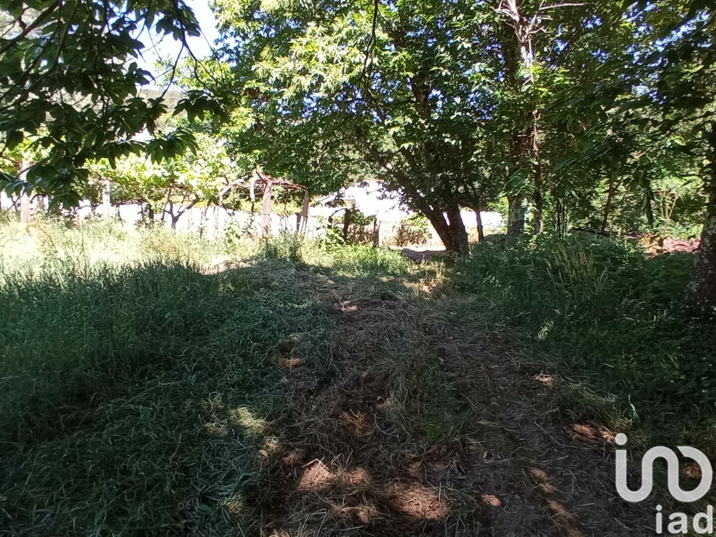 Moradia T2 à venda em Cardielos e Serreleis, Viana do Castelo — foto 15