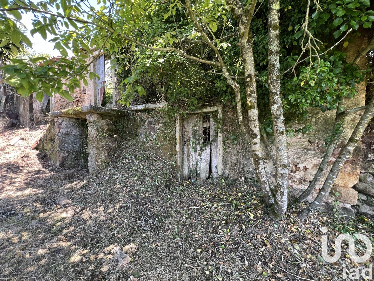 Moradia T0 à venda em São Miguel, Santa Eufémia e Rabaçal, Penela — foto 10