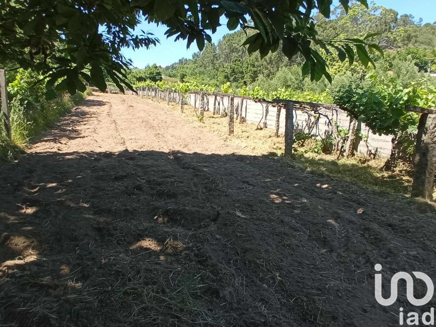 Moradia T2 à venda em Cardielos e Serreleis, Viana do Castelo — foto 17