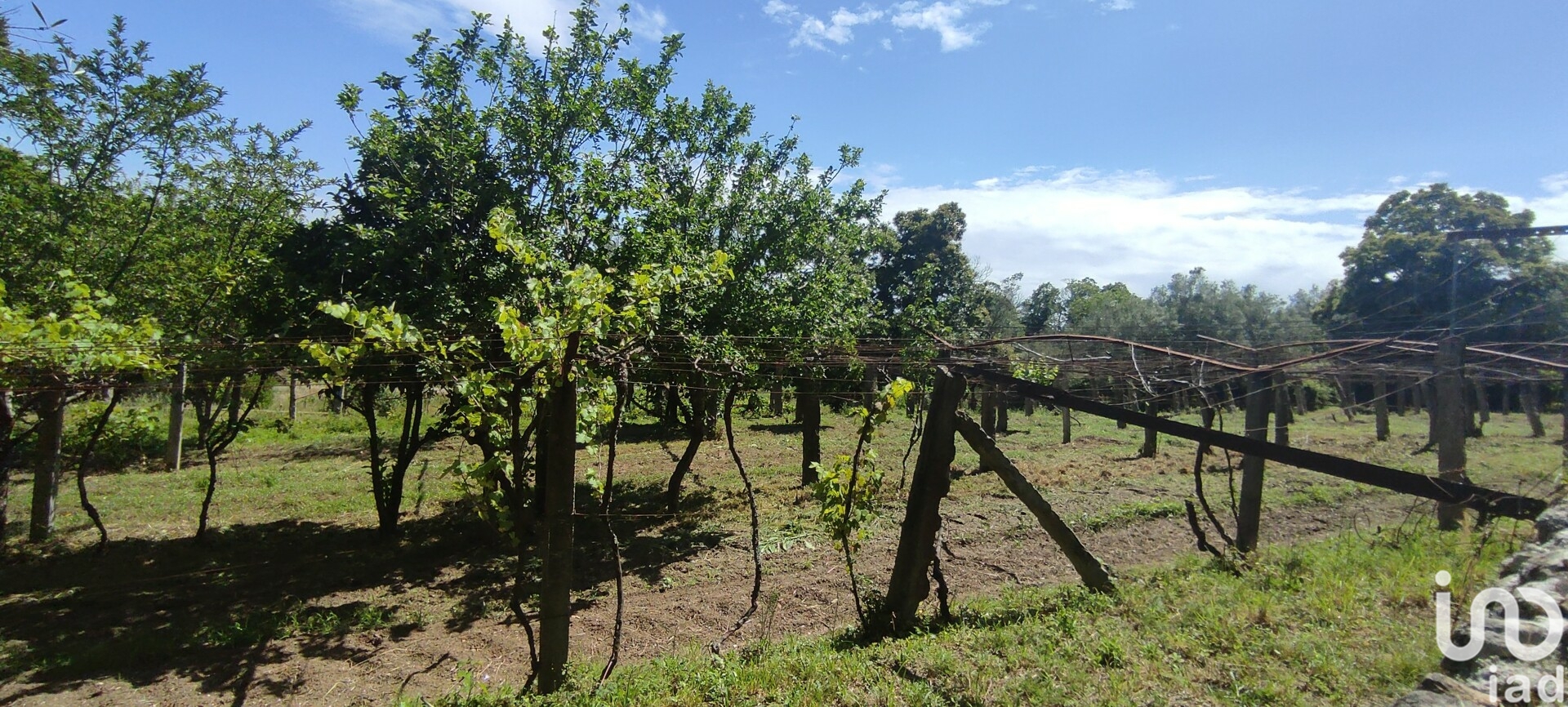 Moradia T2 à venda em Cardielos e Serreleis, Viana do Castelo — foto 27