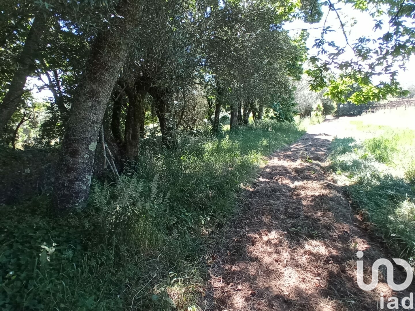 Moradia T2 à venda em Cardielos e Serreleis, Viana do Castelo — foto 21