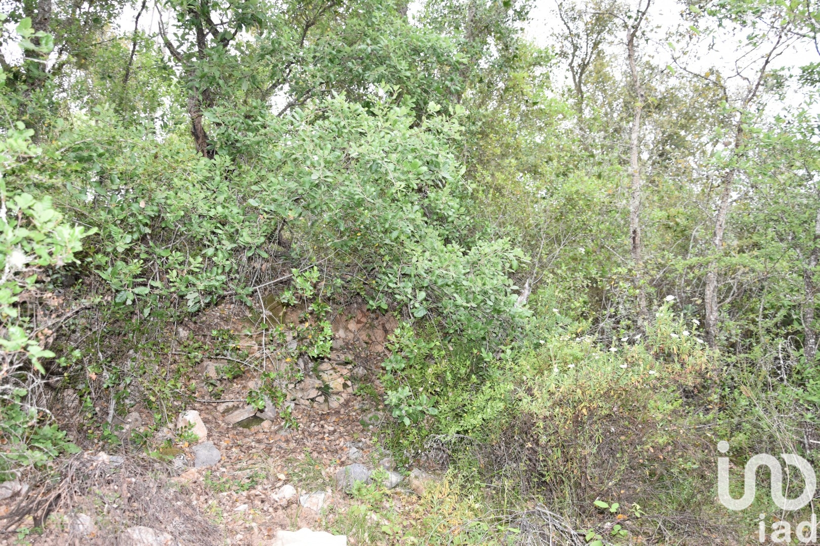 Moradia T0 à venda em Chãos, Ferreira do Zêzere — foto 16