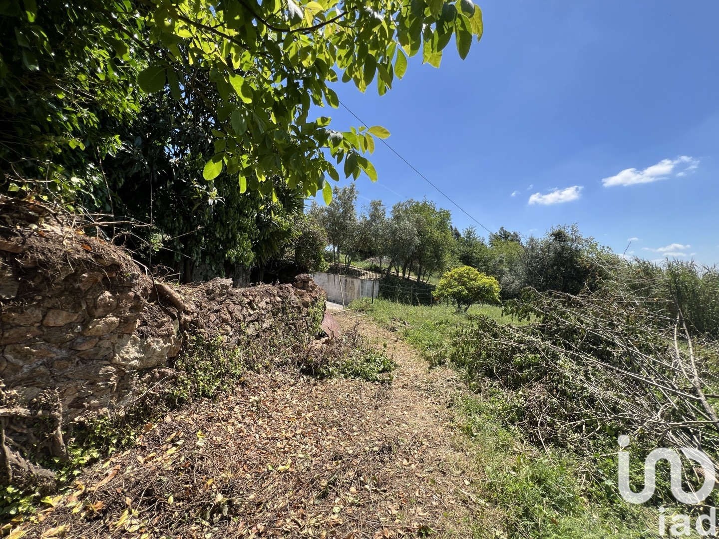 Moradia T0 à venda em São Miguel, Santa Eufémia e Rabaçal, Penela — foto 12