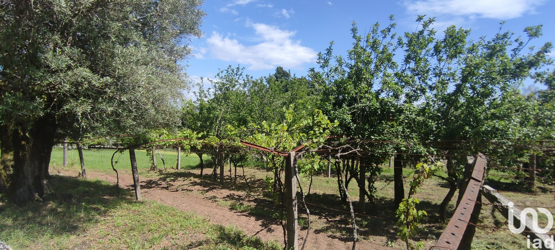 Moradia T2 à venda em Cardielos e Serreleis, Viana do Castelo — foto 2