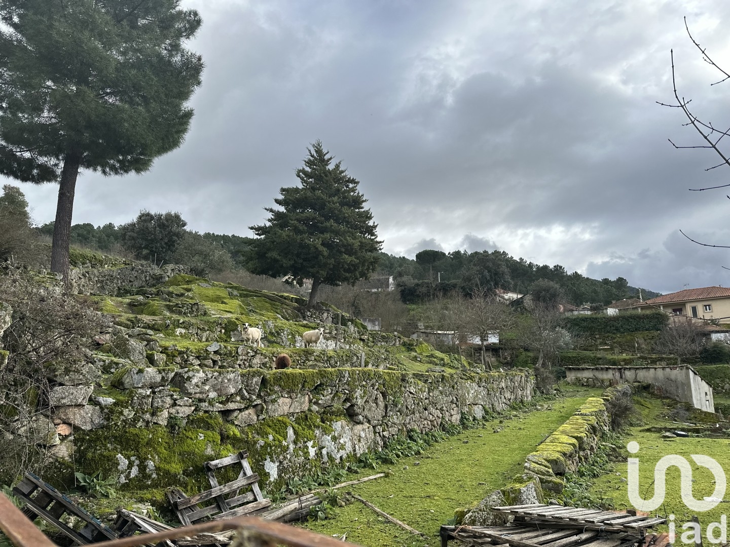 Moradia T3 à venda em Loivos e Póvoa de Agrações, Chaves — foto 2