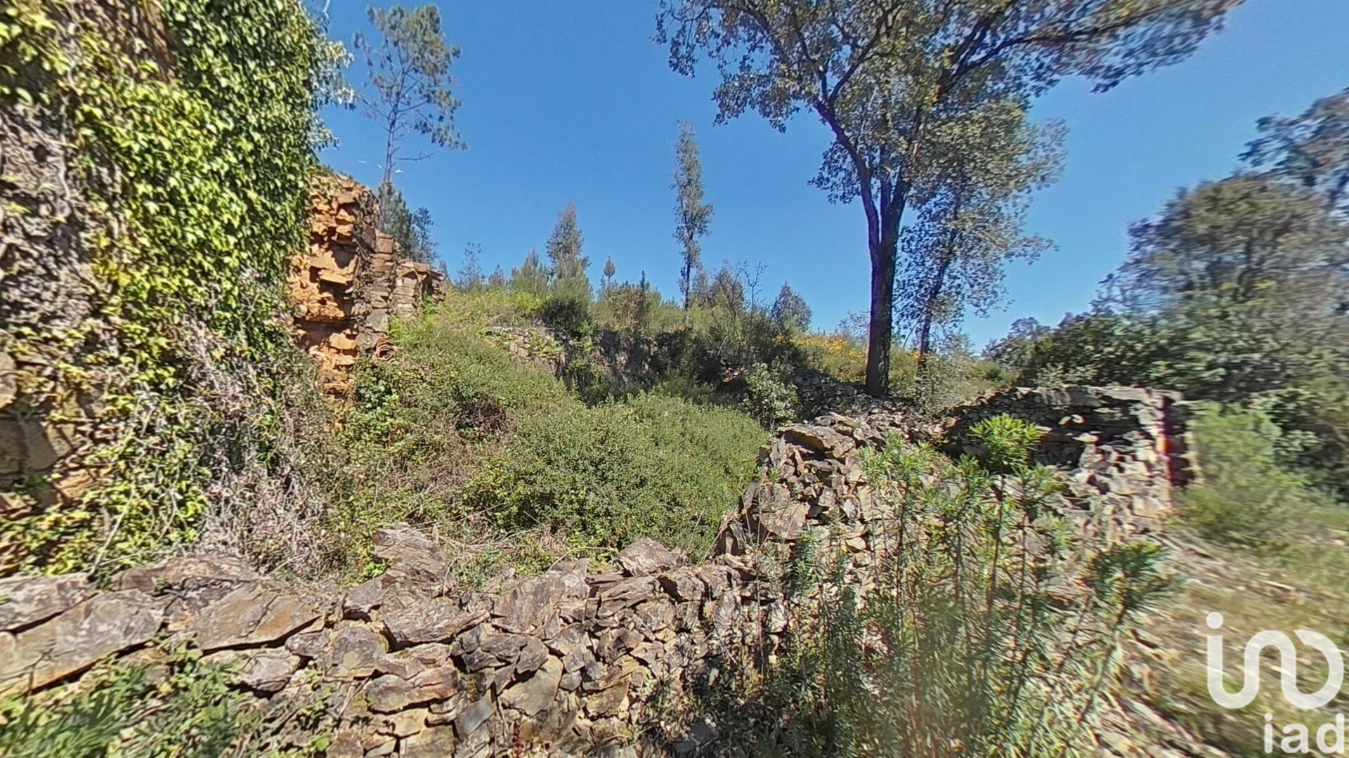 Moradia T0 à venda em Alvares, Góis — foto 15