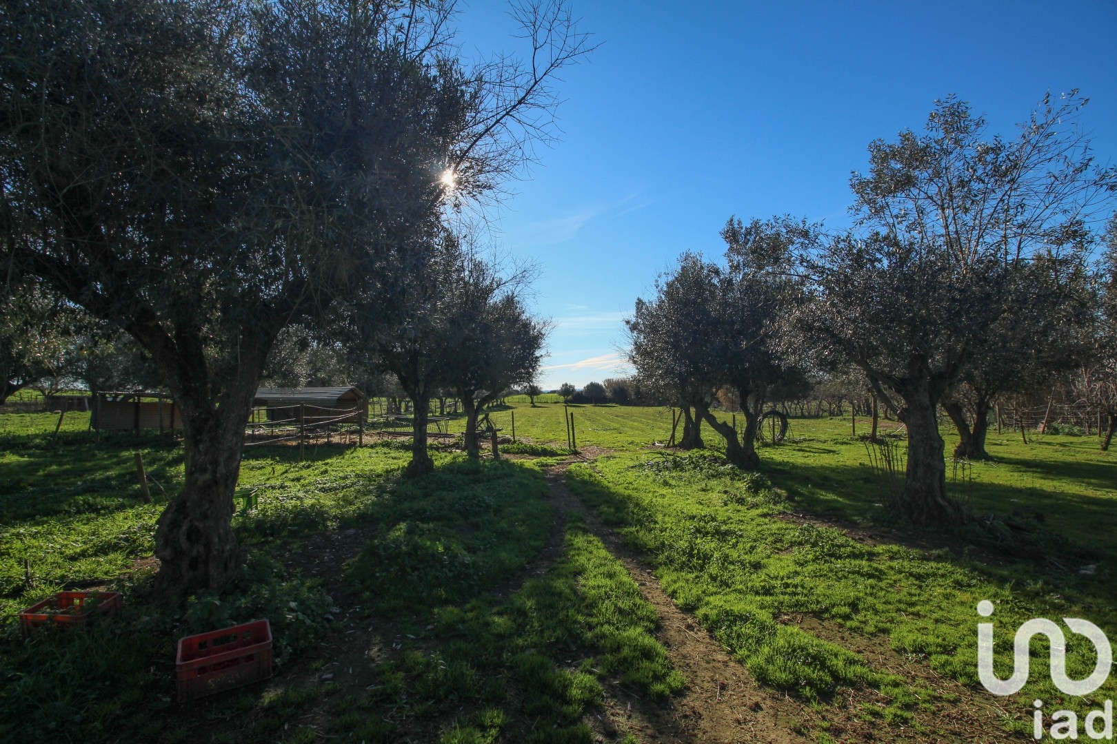 Moradia T0 à venda em Ameixial (Santa Vitória e São Bento), Estremoz — foto 16