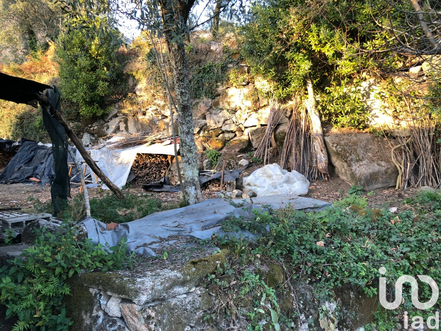 Moradia T4 à venda em Vilar de Ferreiros, Mondim de Basto — foto 20