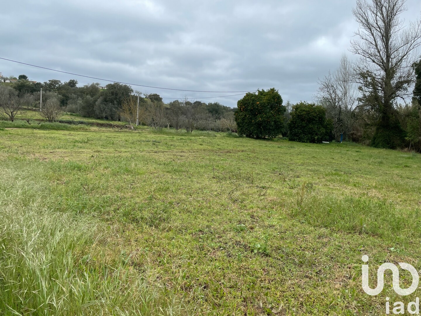 Moradia T6+ à venda em São Martinho das Amoreiras, Odemira — foto 11