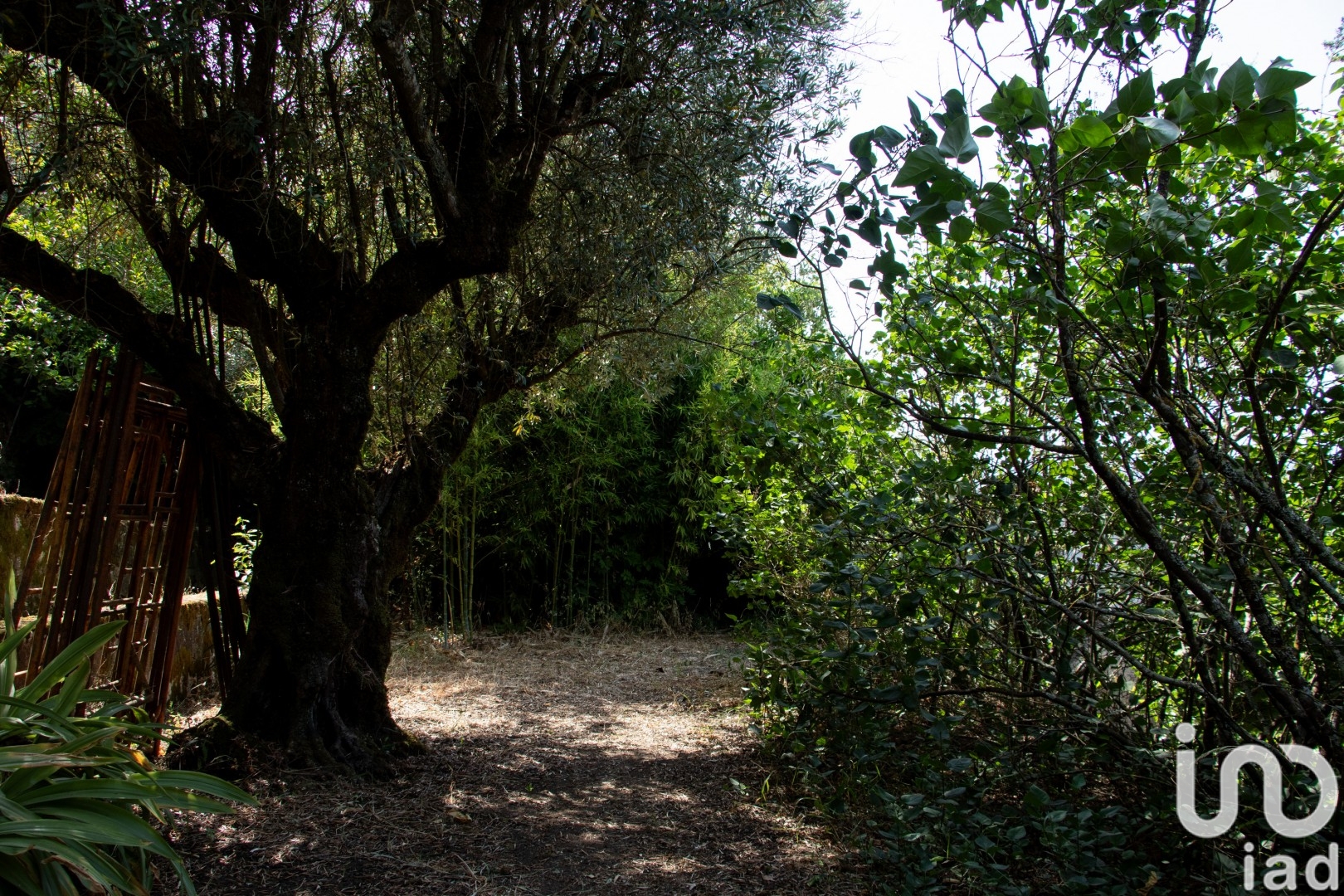 Moradia T5 à venda em Abrantes (São Vicente e São João) e Alferrarede, Abrantes — foto 24
