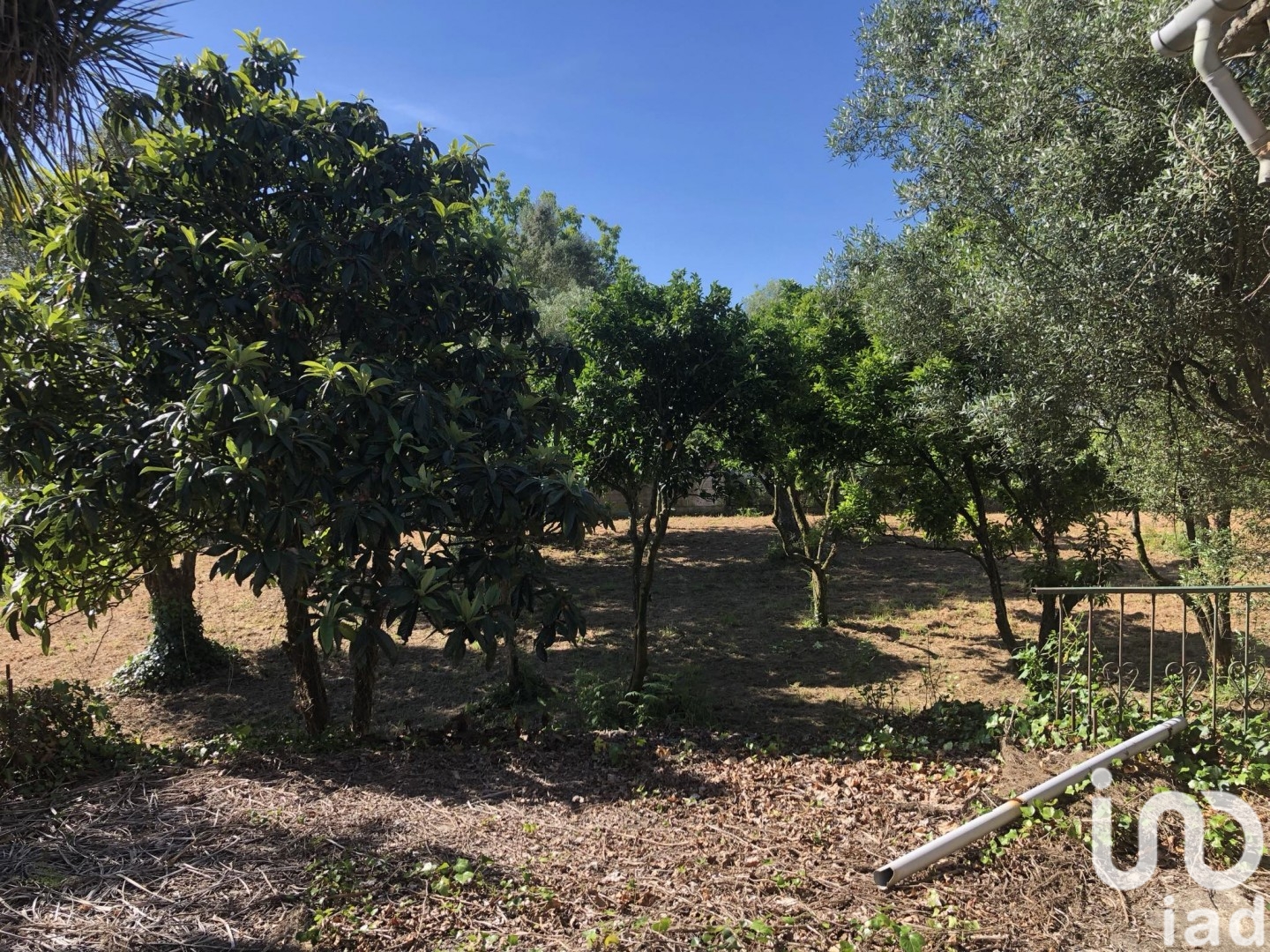 Moradia T3 à venda em Correlhã, Ponte de Lima — foto 14
