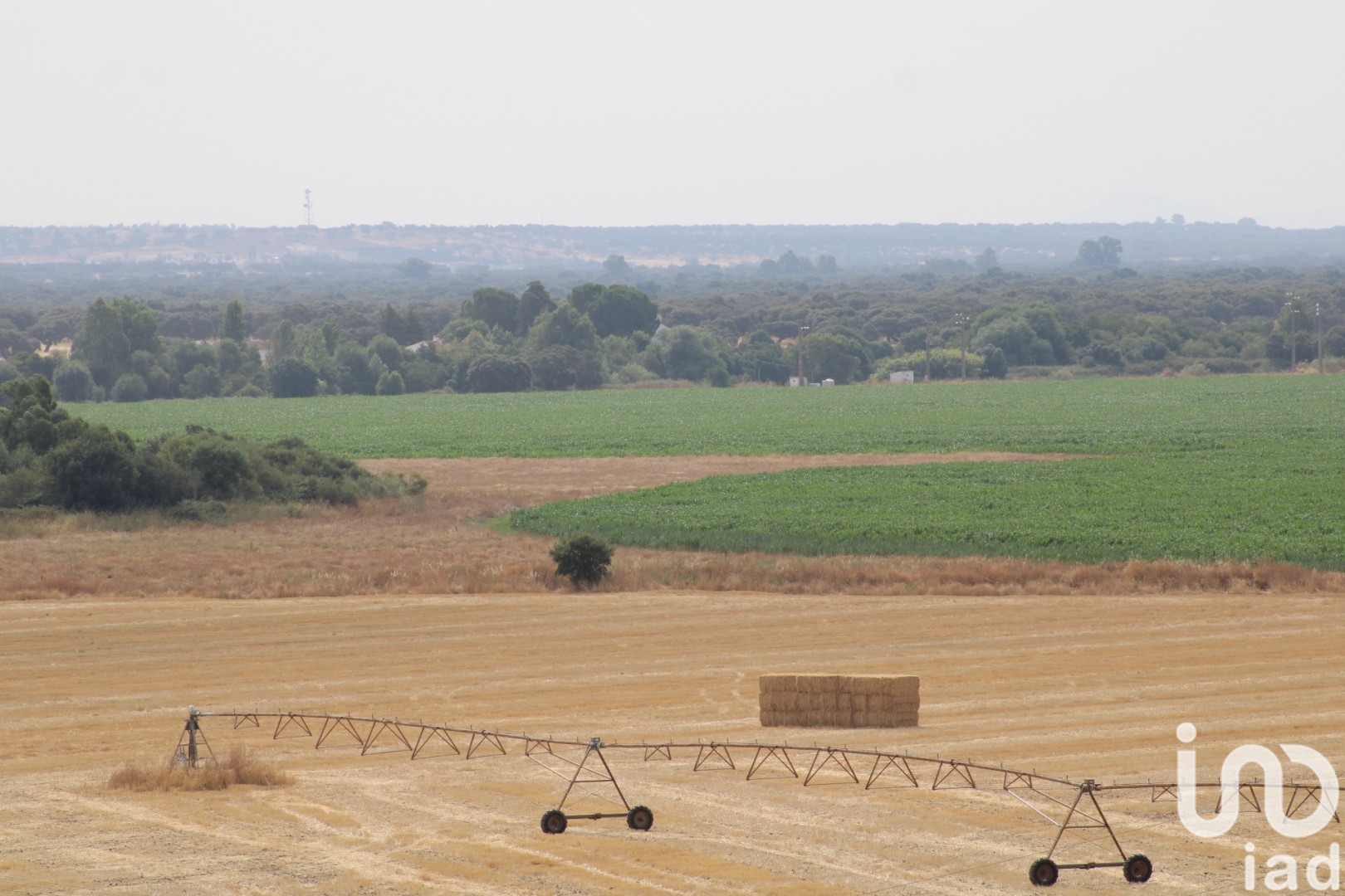 Moradia T6+ à venda em São João Baptista, Campo Maior — foto 26