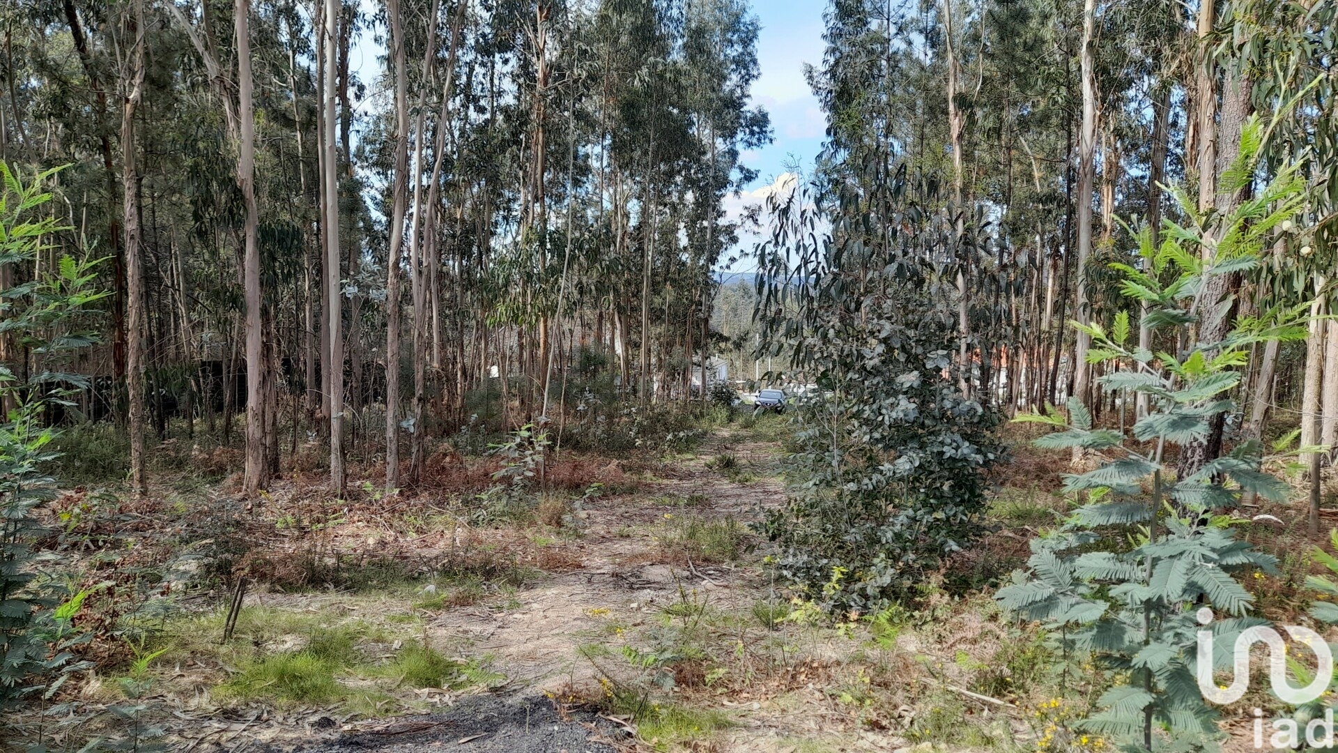 Moradia T3 à venda em Alheira e Igreja Nova, Barcelos — foto 23
