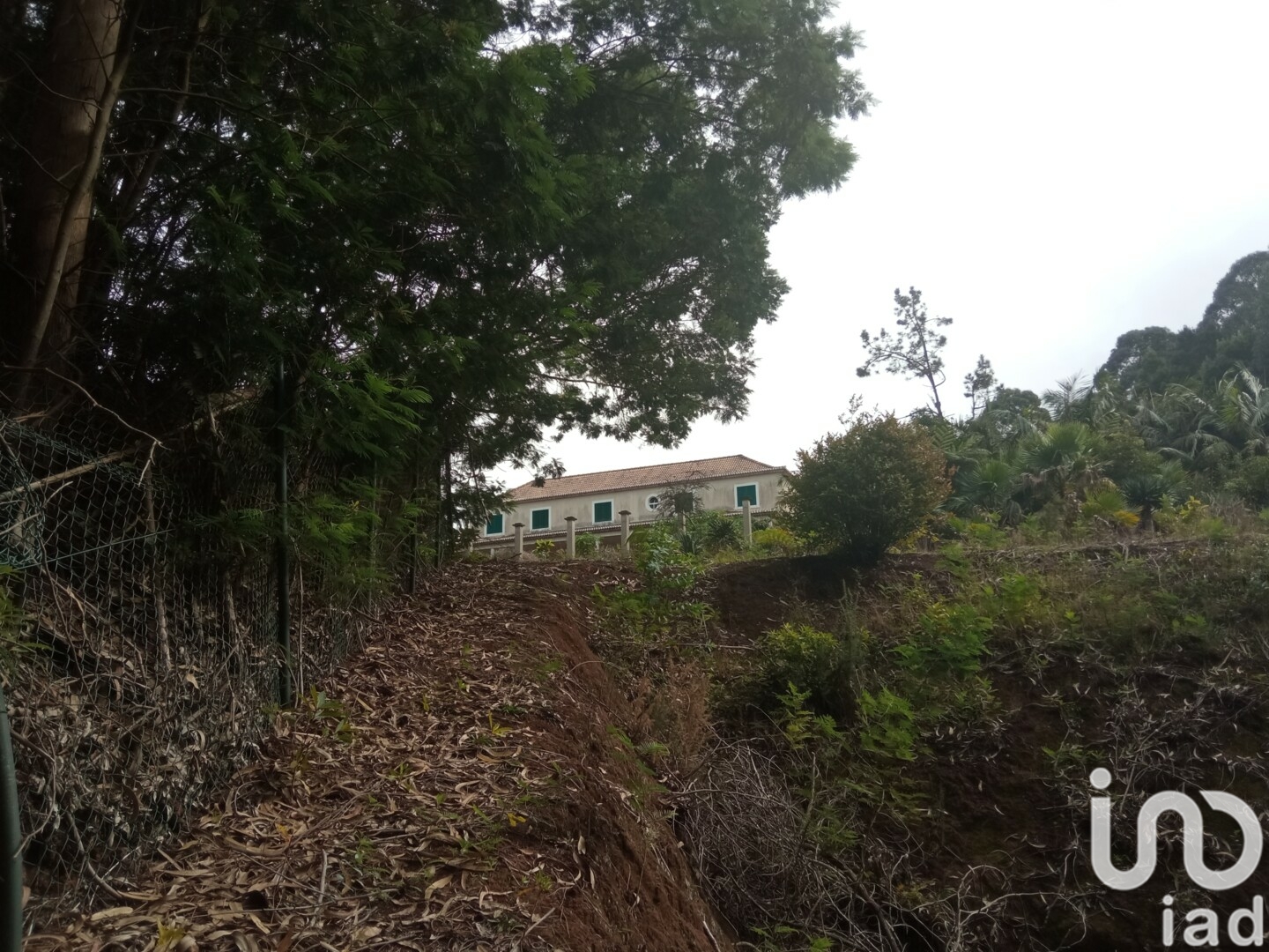 Moradia T3 à venda em São Jorge, Santana — foto 17