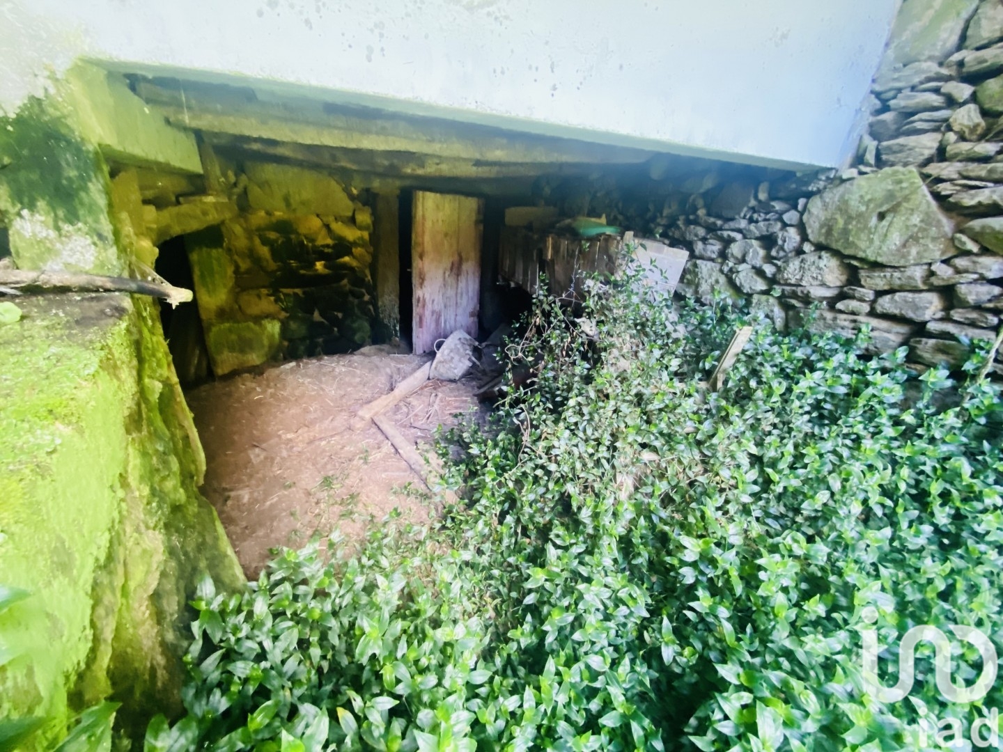 Moradia T6+ à venda em Candemil e Gondar, Vila Nova de Cerveira — foto 12