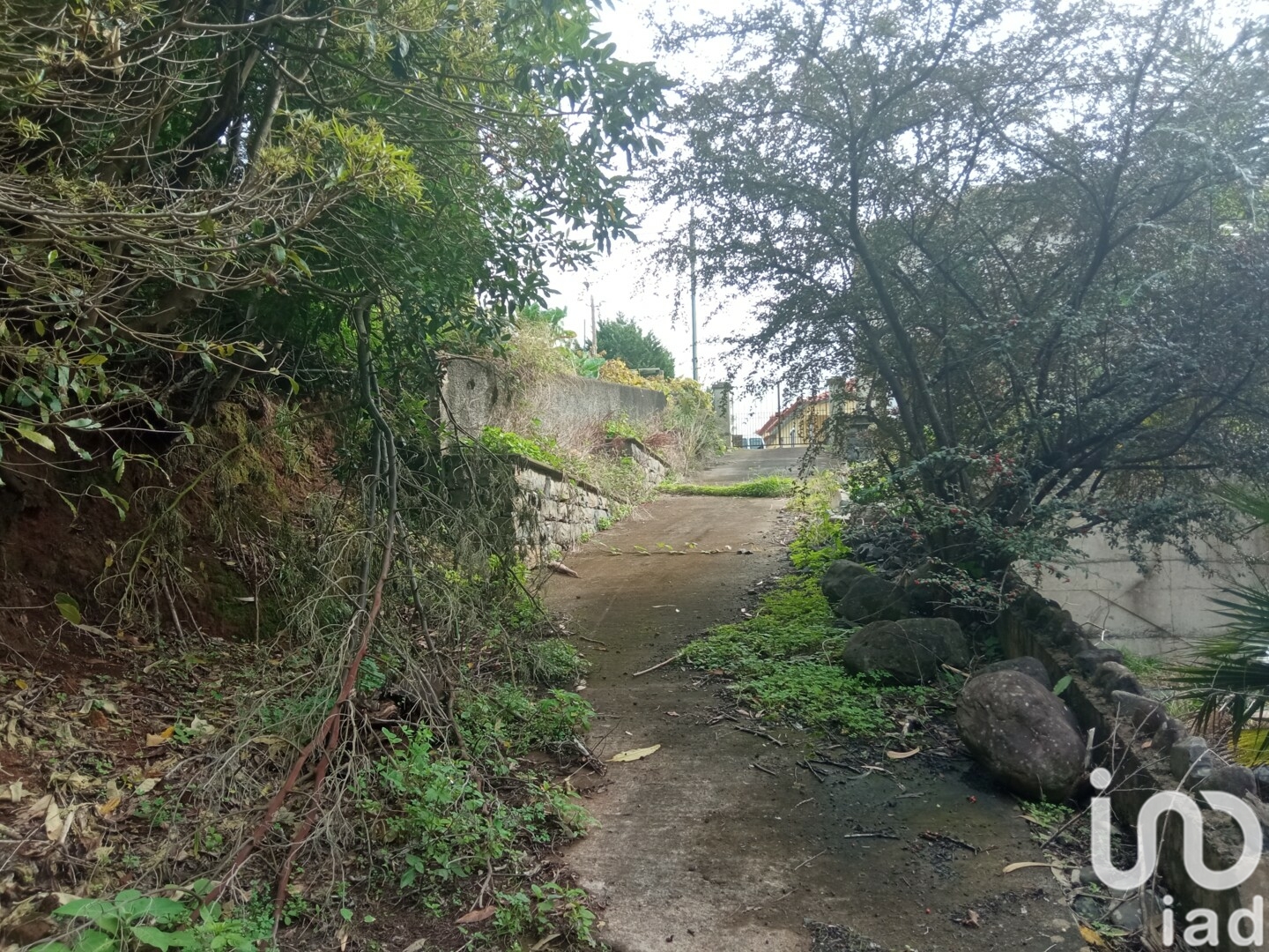 Moradia T3 à venda em São Jorge, Santana — foto 20