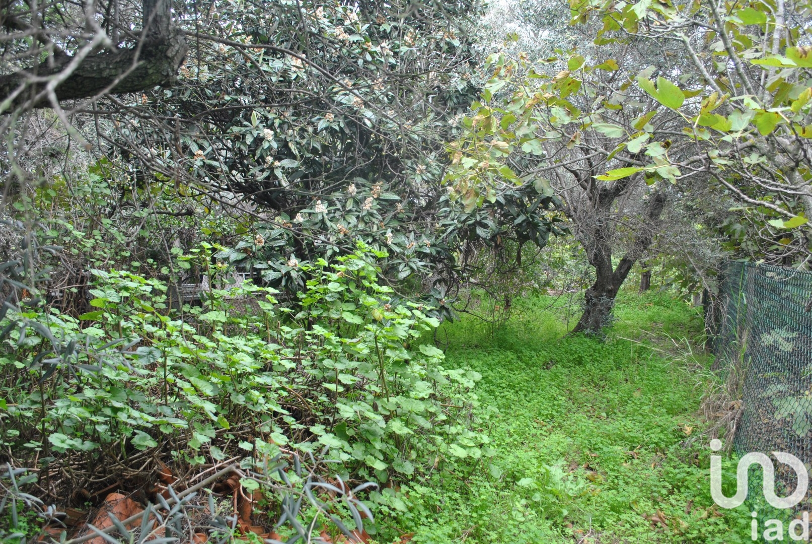 Moradia T2 à venda em Luz de Tavira e Santo Estêvão, Tavira — foto 16