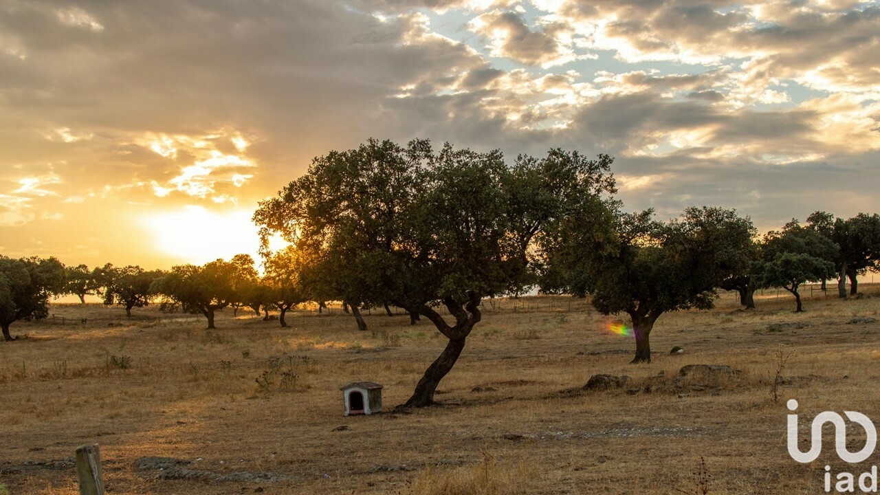 Moradia T6+ à venda em Terrugem E Vila Boim, Elvas — foto 6