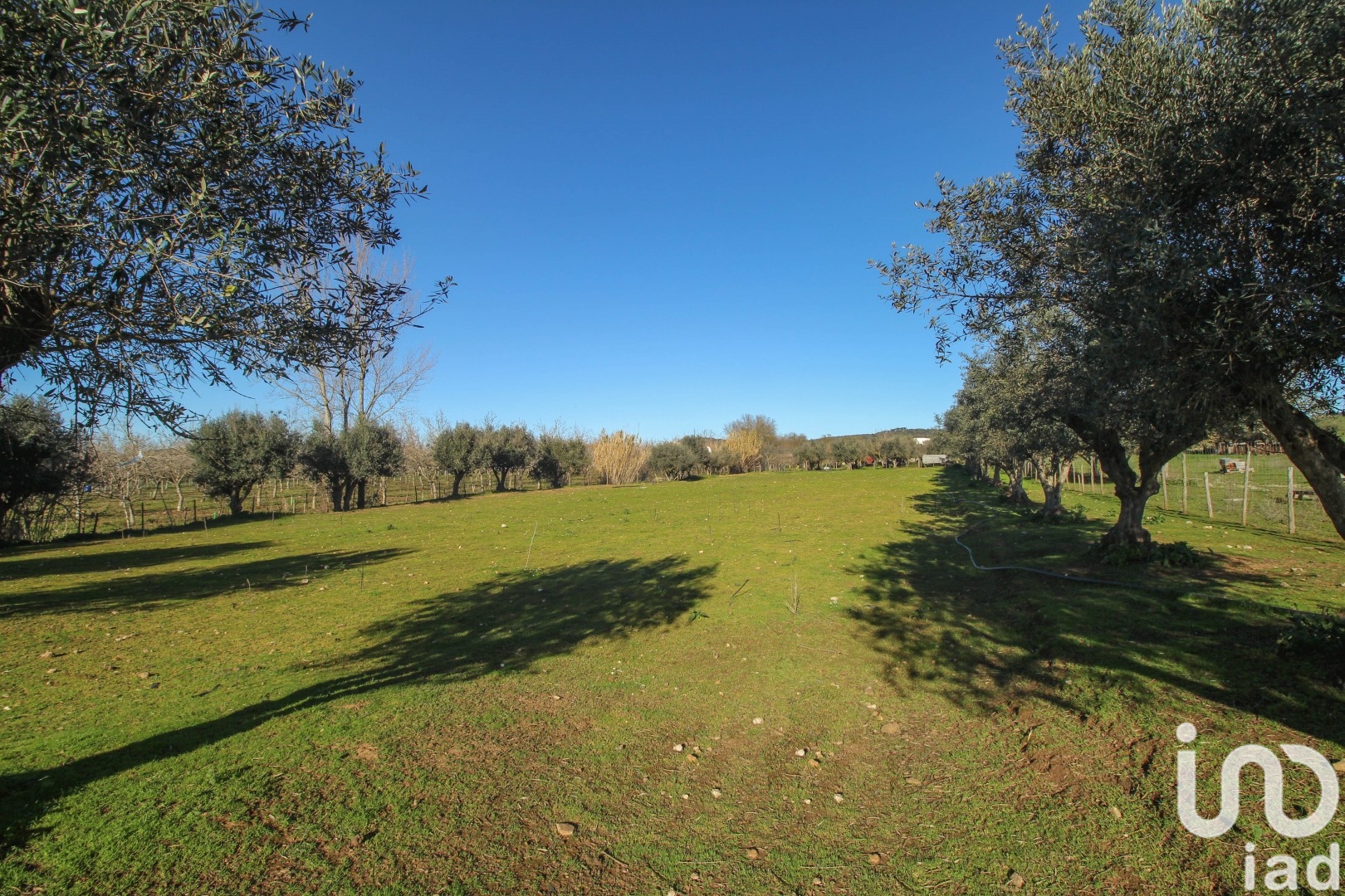 Moradia T0 à venda em Ameixial (Santa Vitória e São Bento), Estremoz — foto 20