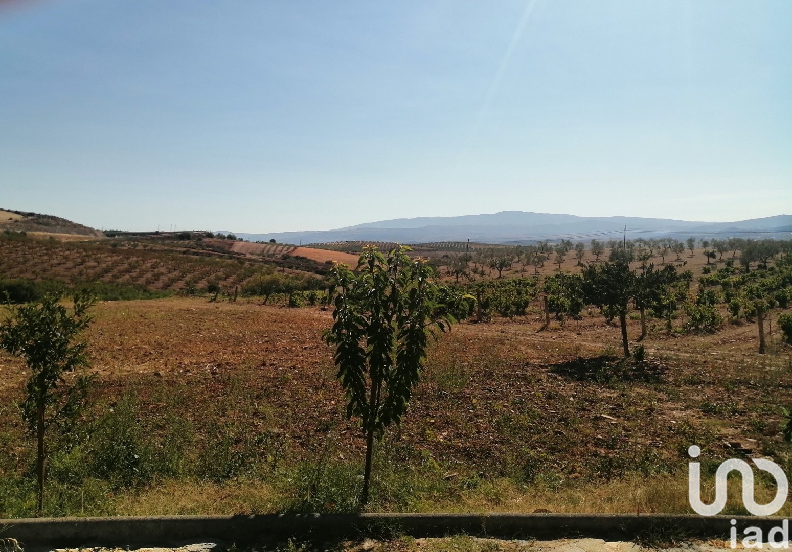 Moradia T4 à venda em Lamas de Orelhão, Mirandela — foto 11