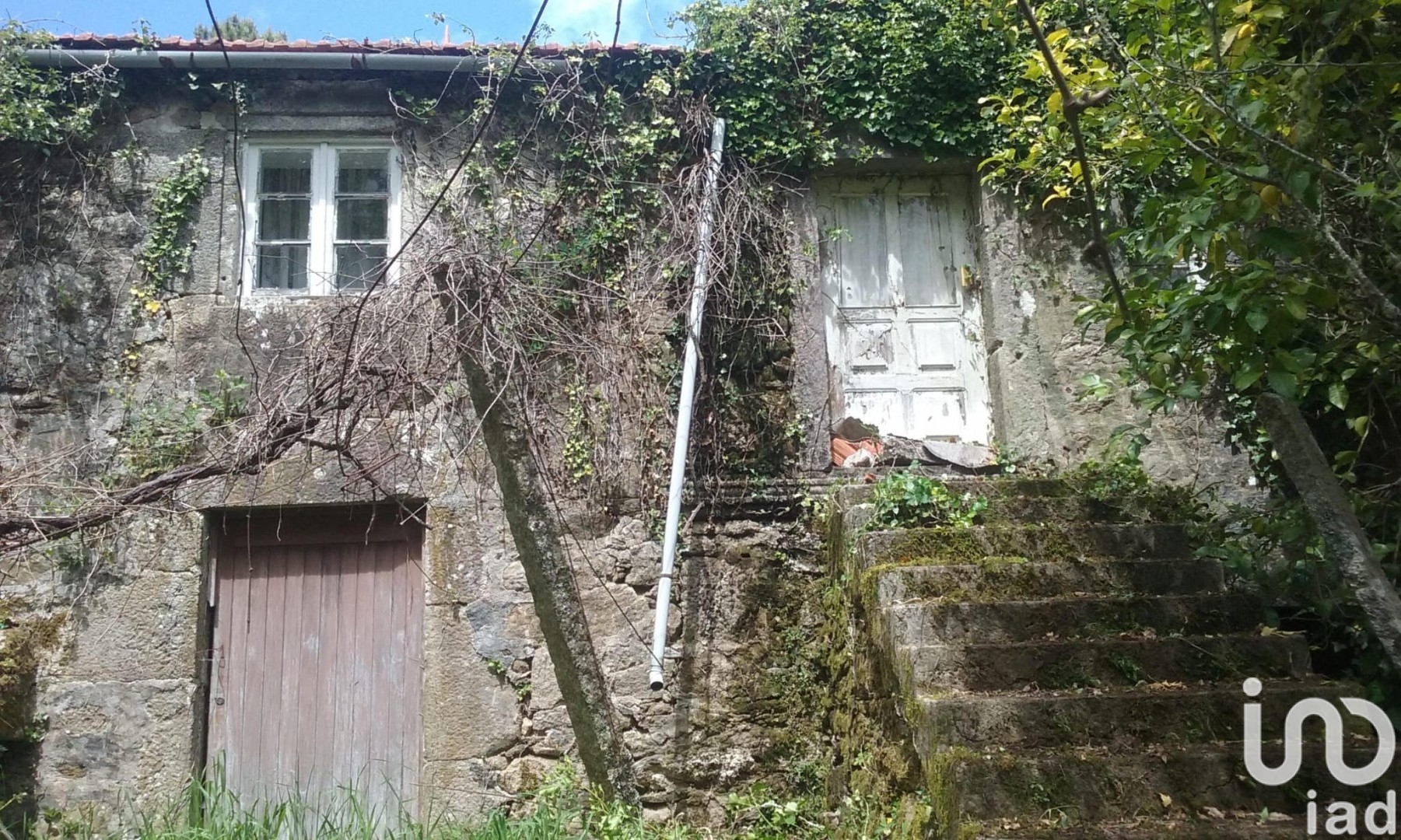 Moradia T6+ à venda em Candemil e Gondar, Vila Nova de Cerveira — foto 3