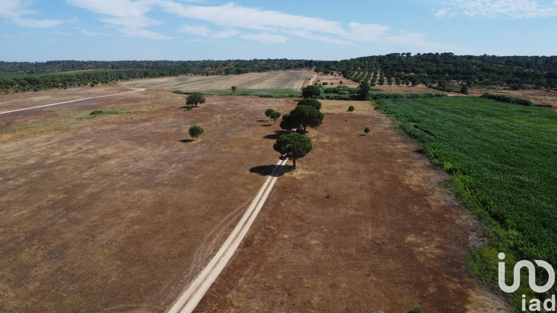 Moradia T3 à venda em Couço, Coruche — foto 12