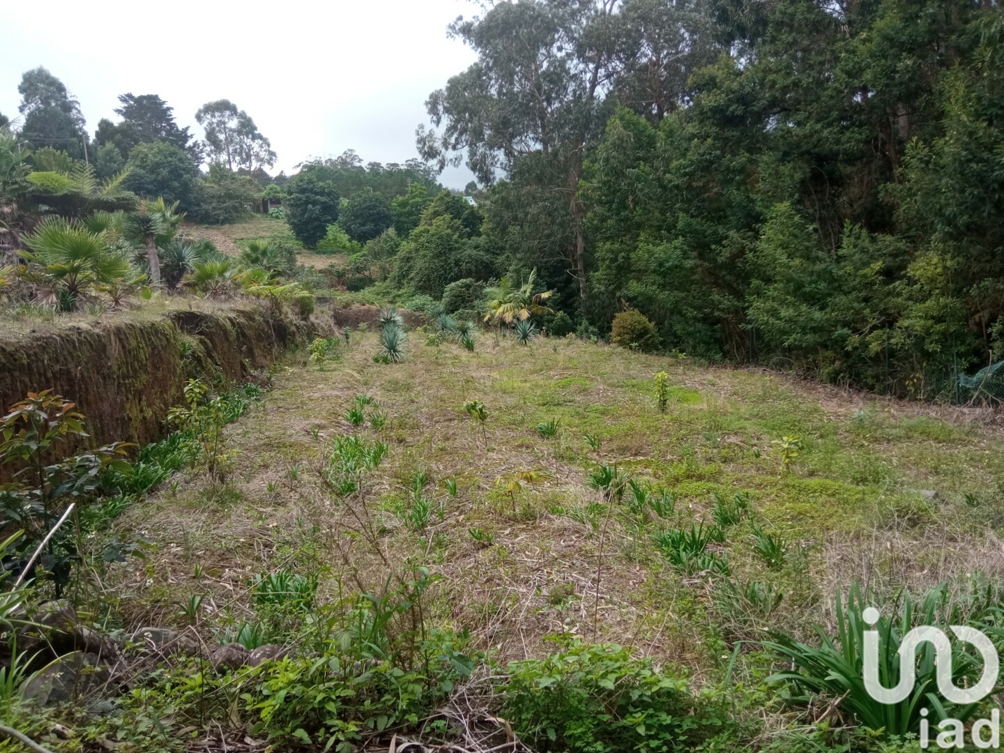 Moradia T3 à venda em São Jorge, Santana — foto 11