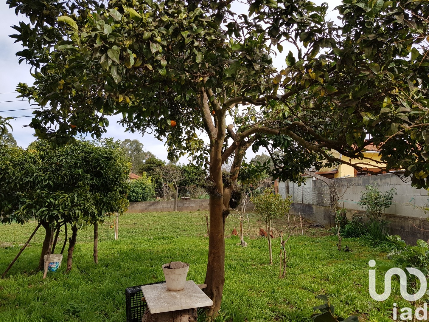 Moradia T4 à venda em Campos e Vila Meã, Vila Nova de Cerveira — foto 8
