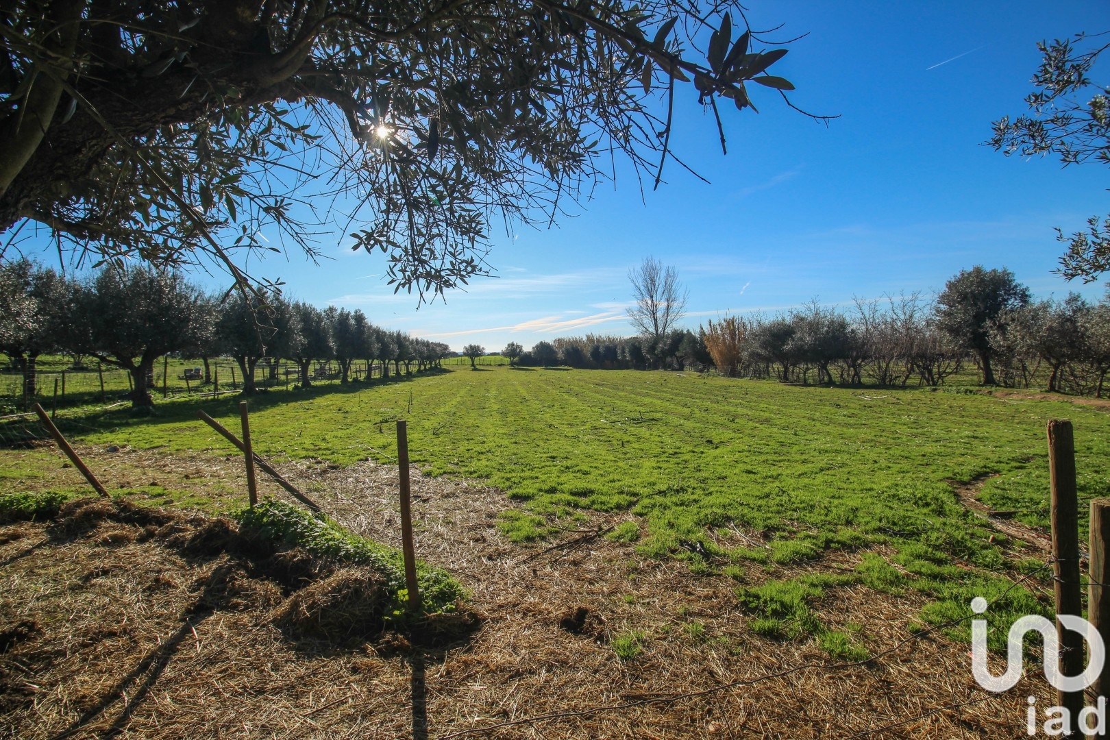 Moradia T0 à venda em Ameixial (Santa Vitória e São Bento), Estremoz — foto 17