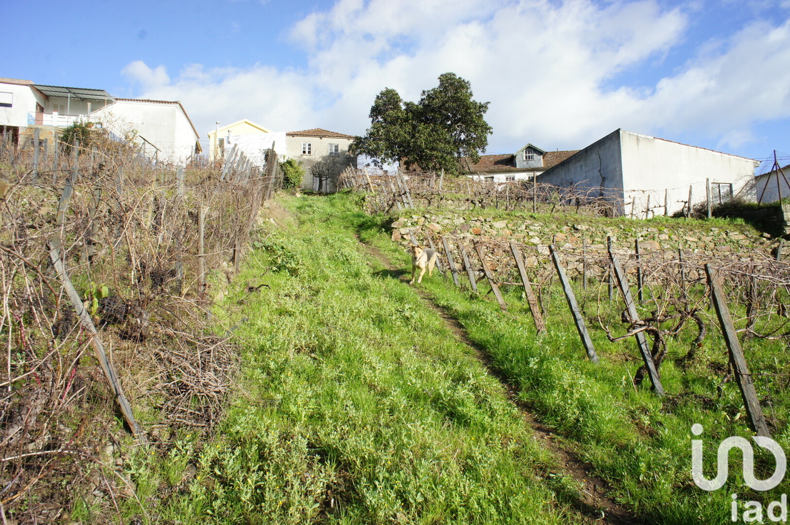Moradia T3 à venda em Lobrigos (São Miguel e São João Baptista) e Sanhoane, Santa Marta de Penaguião — foto 26