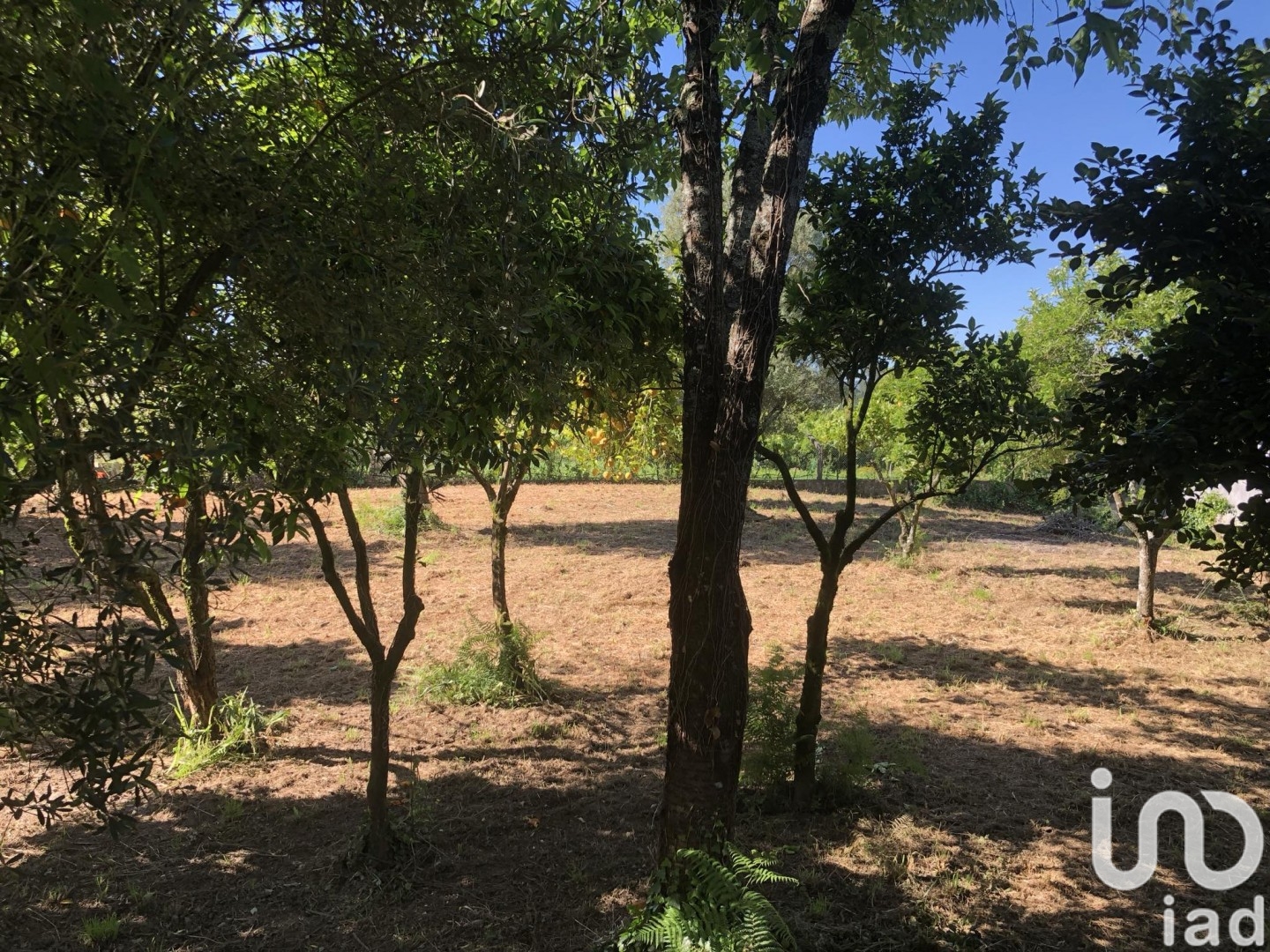 Moradia T3 à venda em Correlhã, Ponte de Lima — foto 10