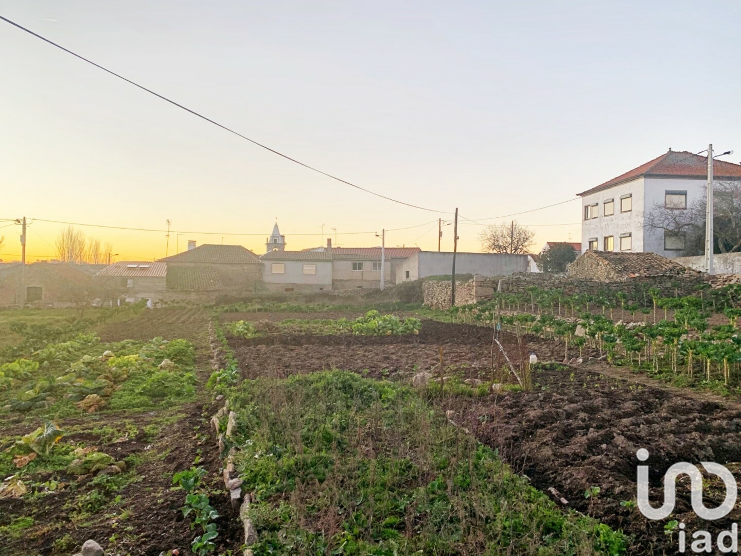 Moradia T3 à venda em São Pedro de Rio Seco, Almeida — foto 21