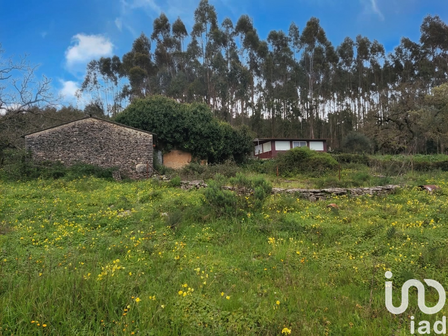 Moradia T2 à venda em Aljubarrota, Alcobaça — foto 3