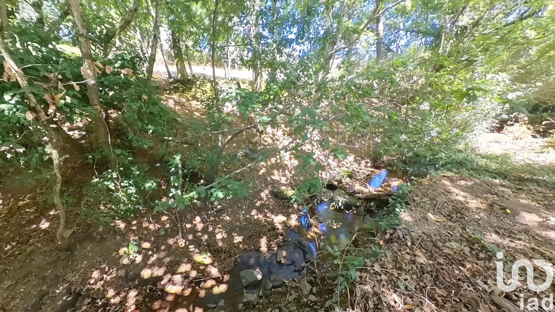 Moradia T0 à venda em Castanheira de Pêra e Coentral, Castanheira de Pêra — foto 11