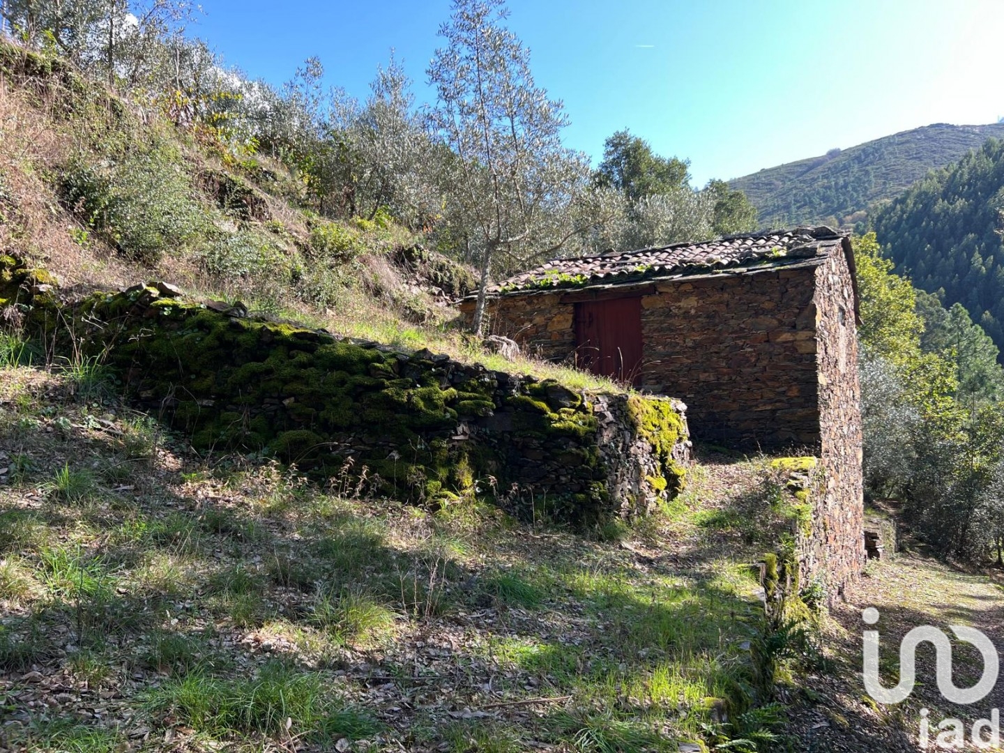 Moradia T0 à venda em Celavisa, Arganil — foto 16