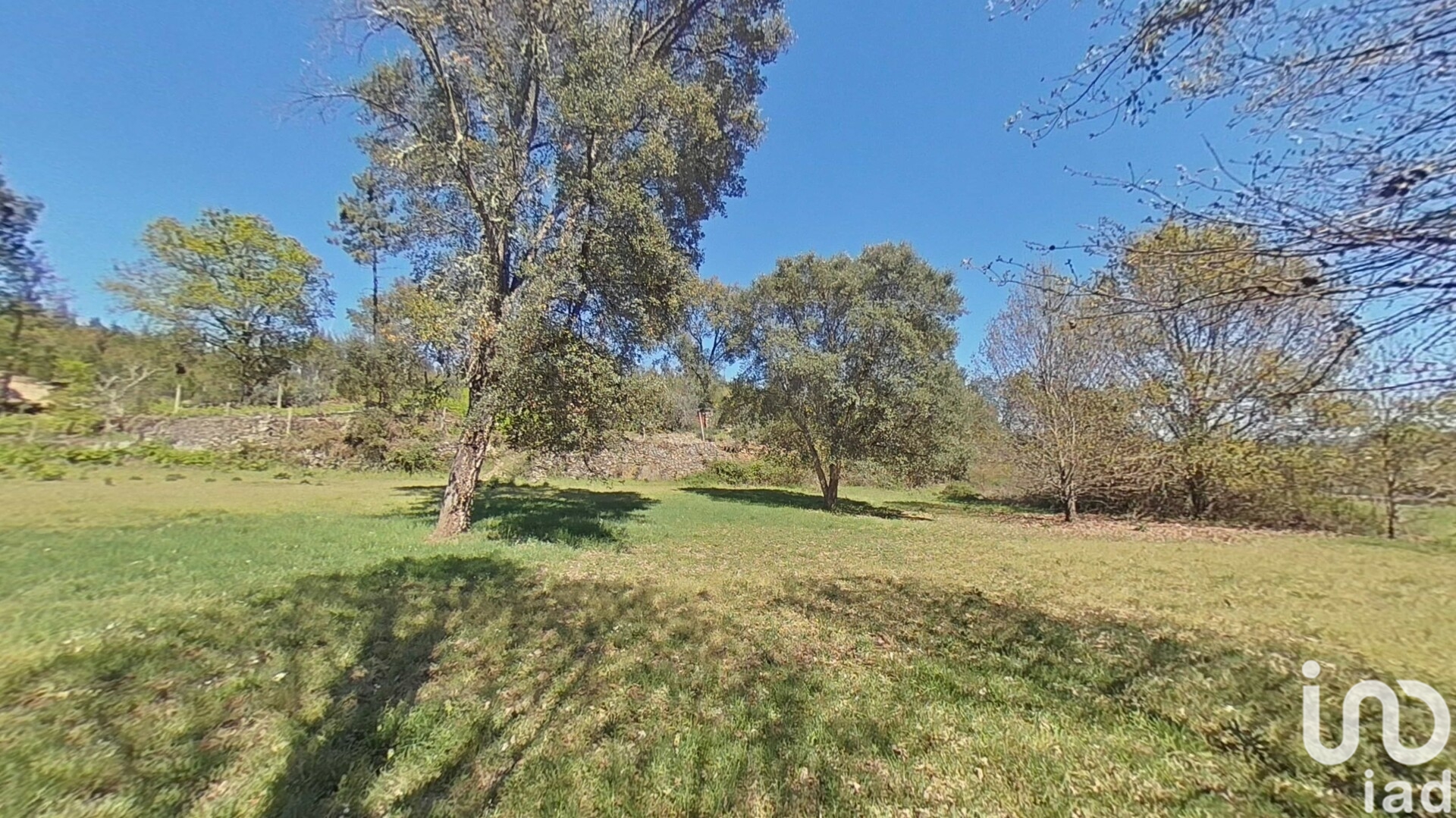 Moradia T0 à venda em Alvares, Góis — foto 6