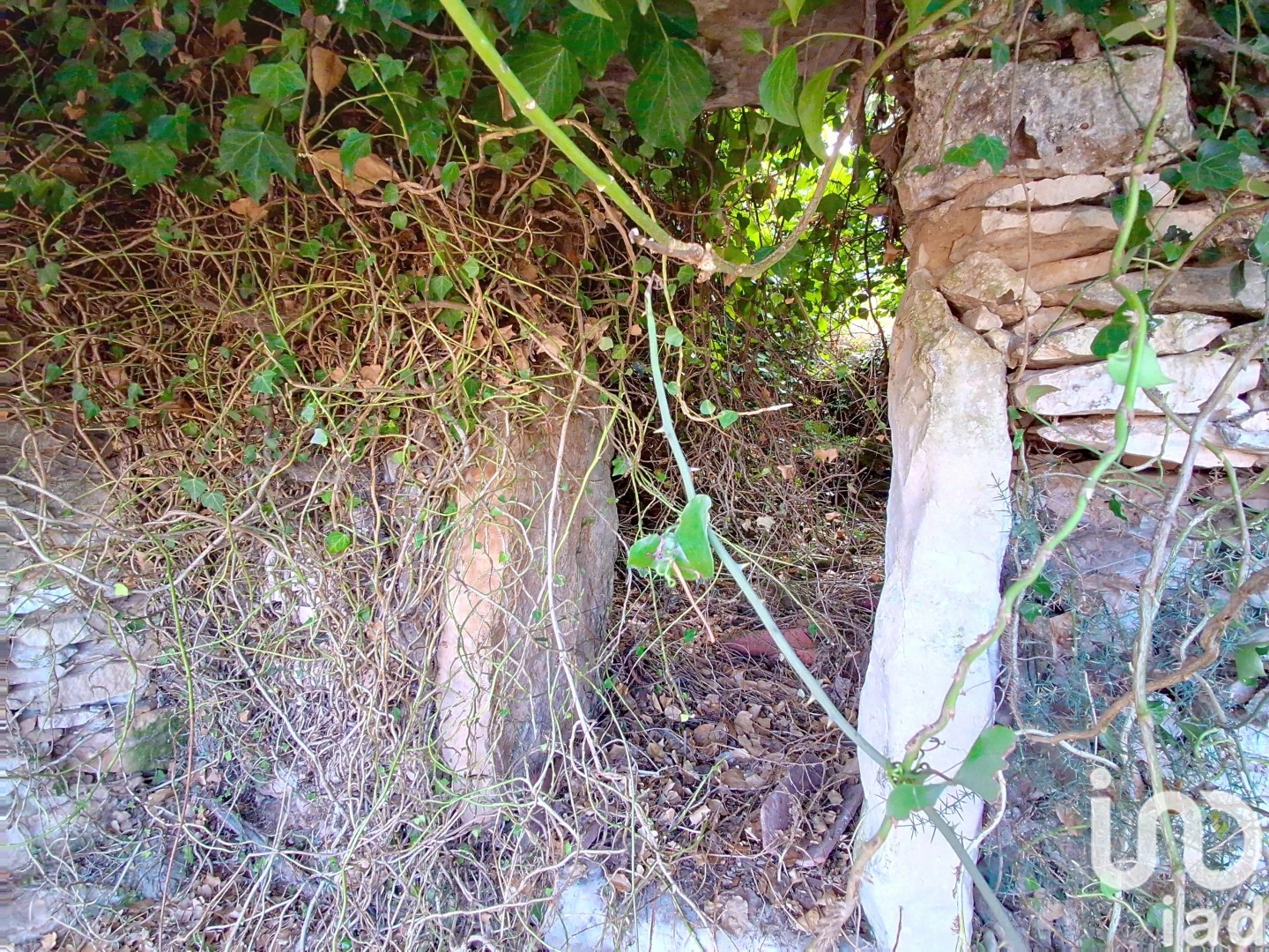 Moradia T2 à venda em Aljubarrota, Alcobaça — foto 10