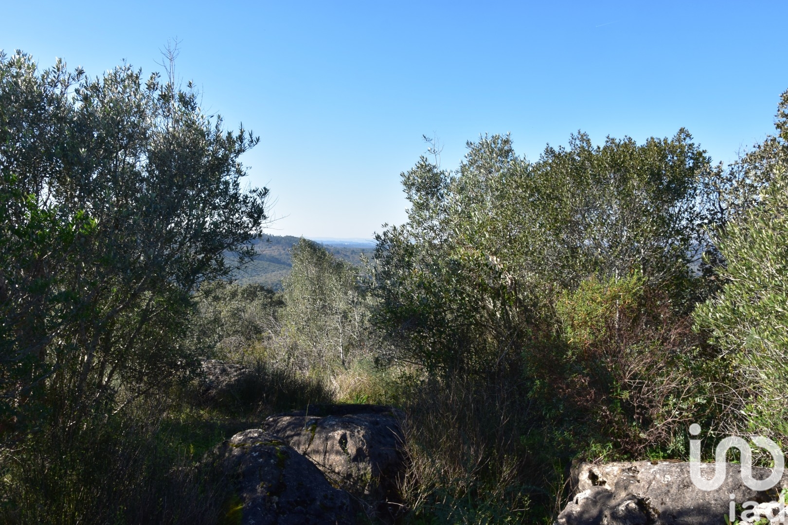 Moradia T0 à venda em Freixianda, Ribeira do Fárrio e Formigais, Ourém — foto 15