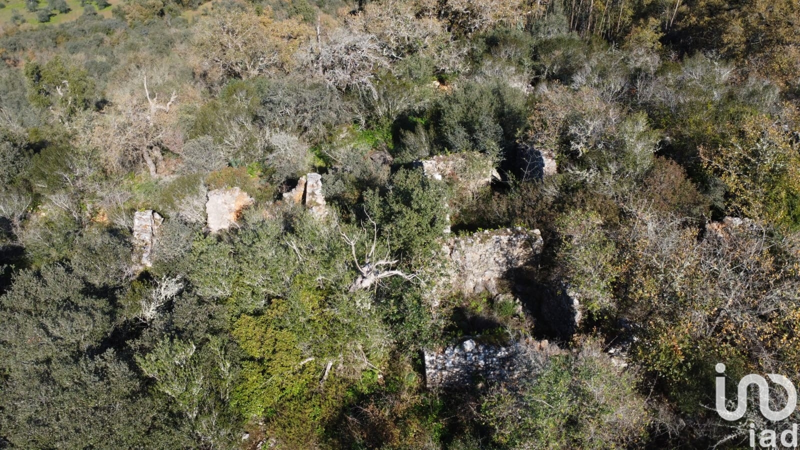 Moradia T0 à venda em Freixianda, Ribeira do Fárrio e Formigais, Ourém — foto 7