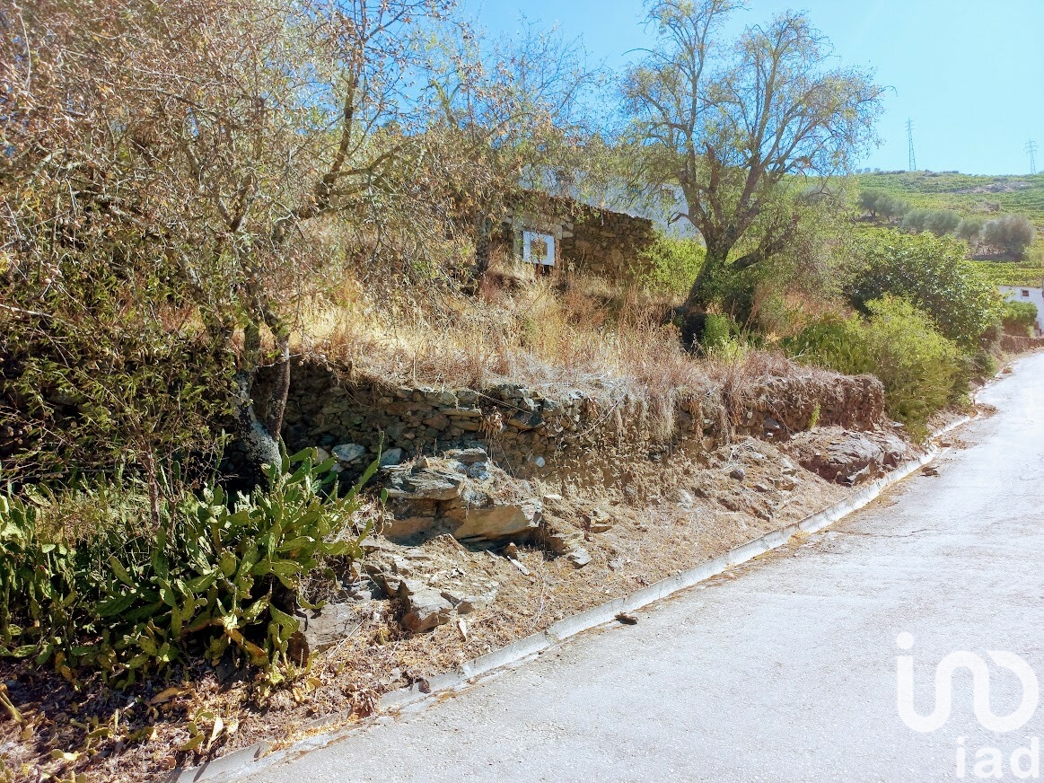 Moradia T6+ à venda em Parada do Bispo e Valdigem, Lamego — foto 3