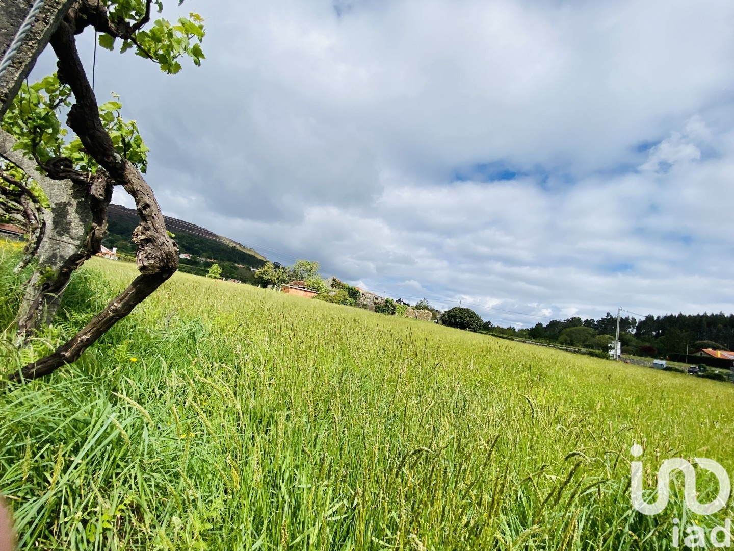 Moradia T1 à venda em Candemil e Gondar, Vila Nova de Cerveira — foto 16