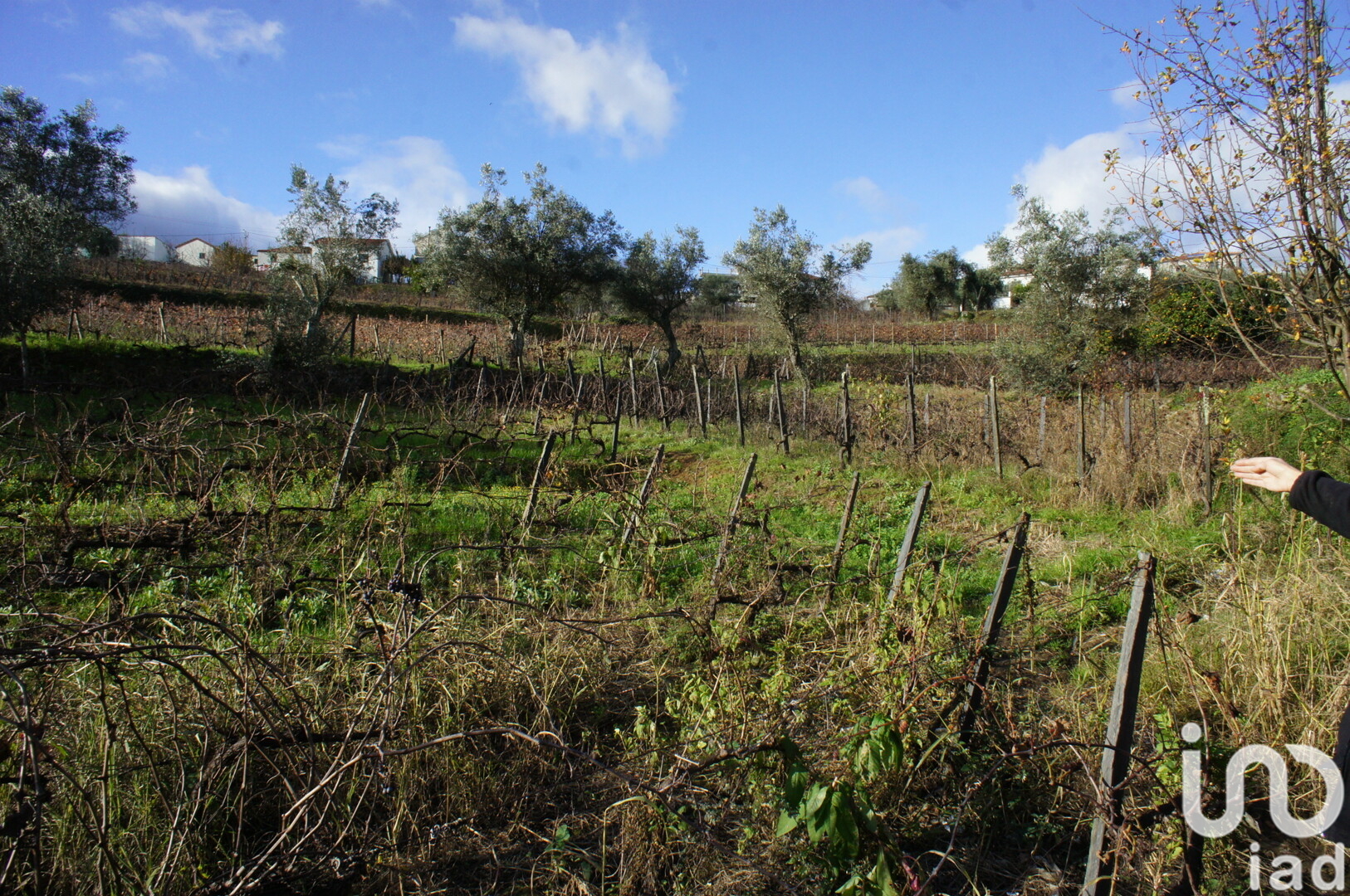 Moradia T3 à venda em Lobrigos (São Miguel e São João Baptista) e Sanhoane, Santa Marta de Penaguião — foto 27